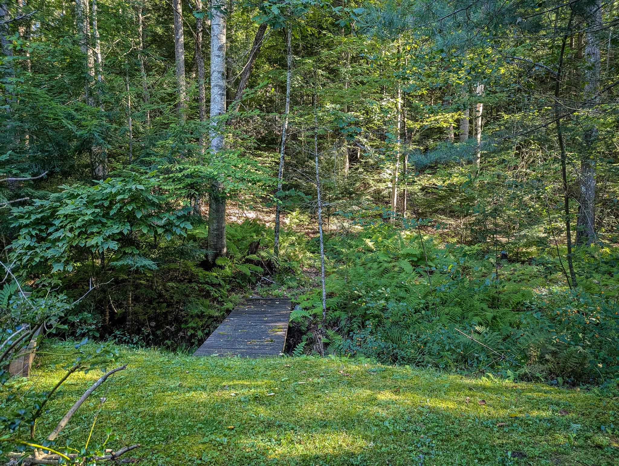 974 County Road Property Photo 42
