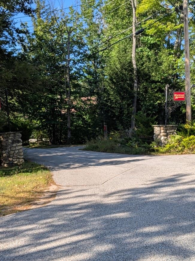 F21 Christmas Mountain Road Property Photo 19