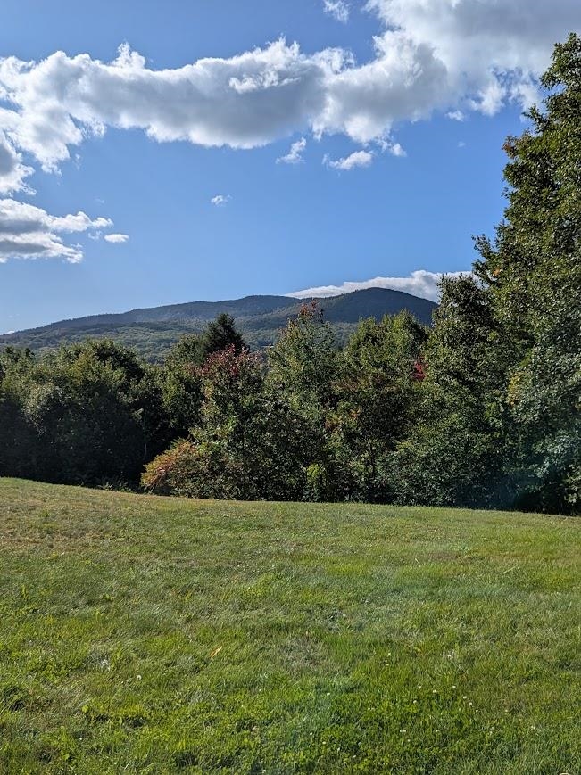 F21 Christmas Mountain Road Property Photo 23