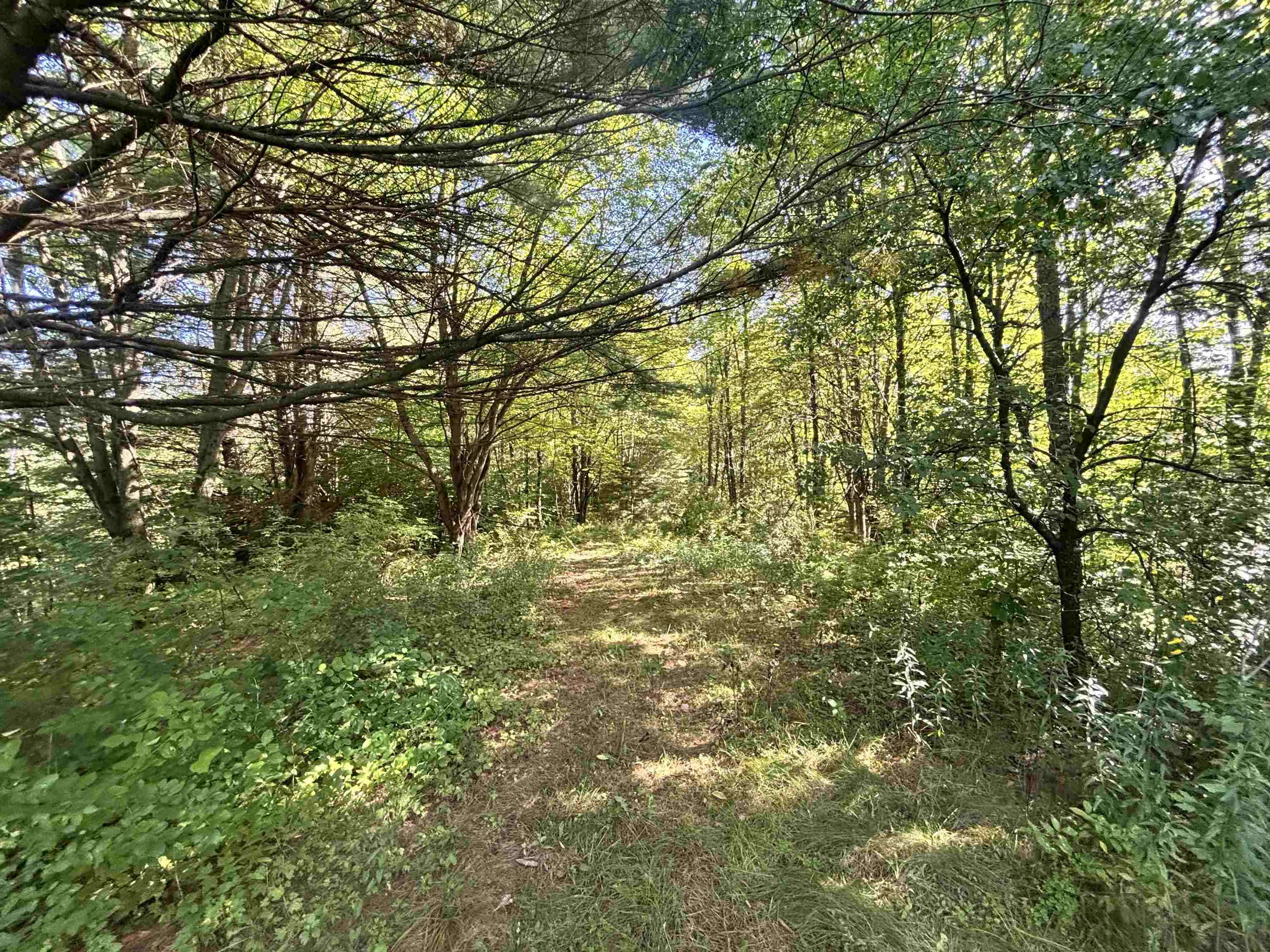 1527 Vt Rte 105 Property Photo 44