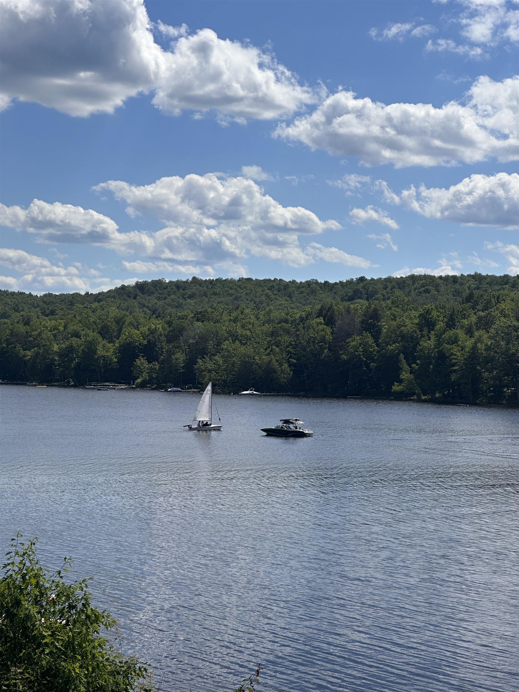 1080 Goose Pond Road Property Photo 16
