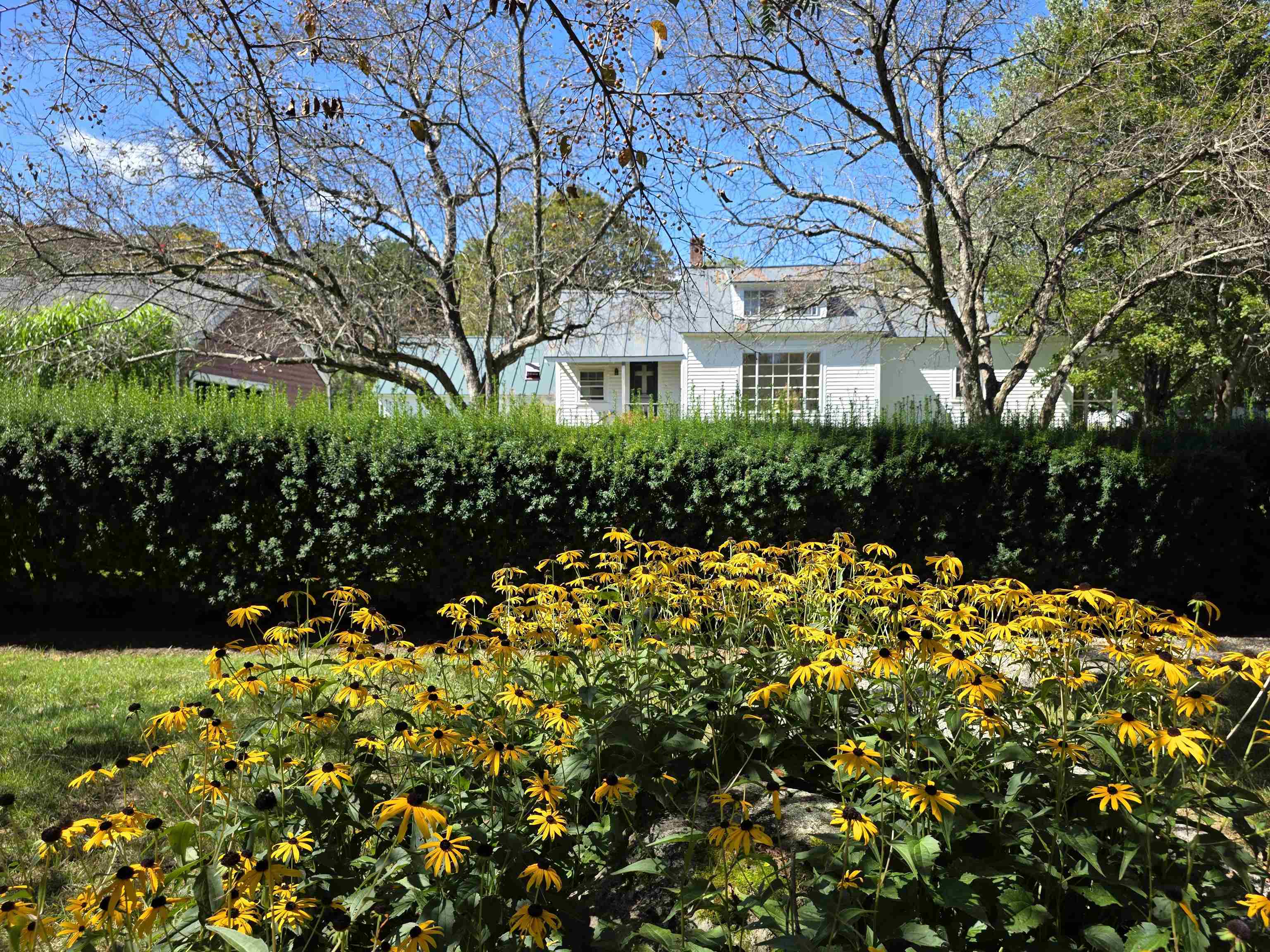 30 Pleasant Street Property Photo 31
