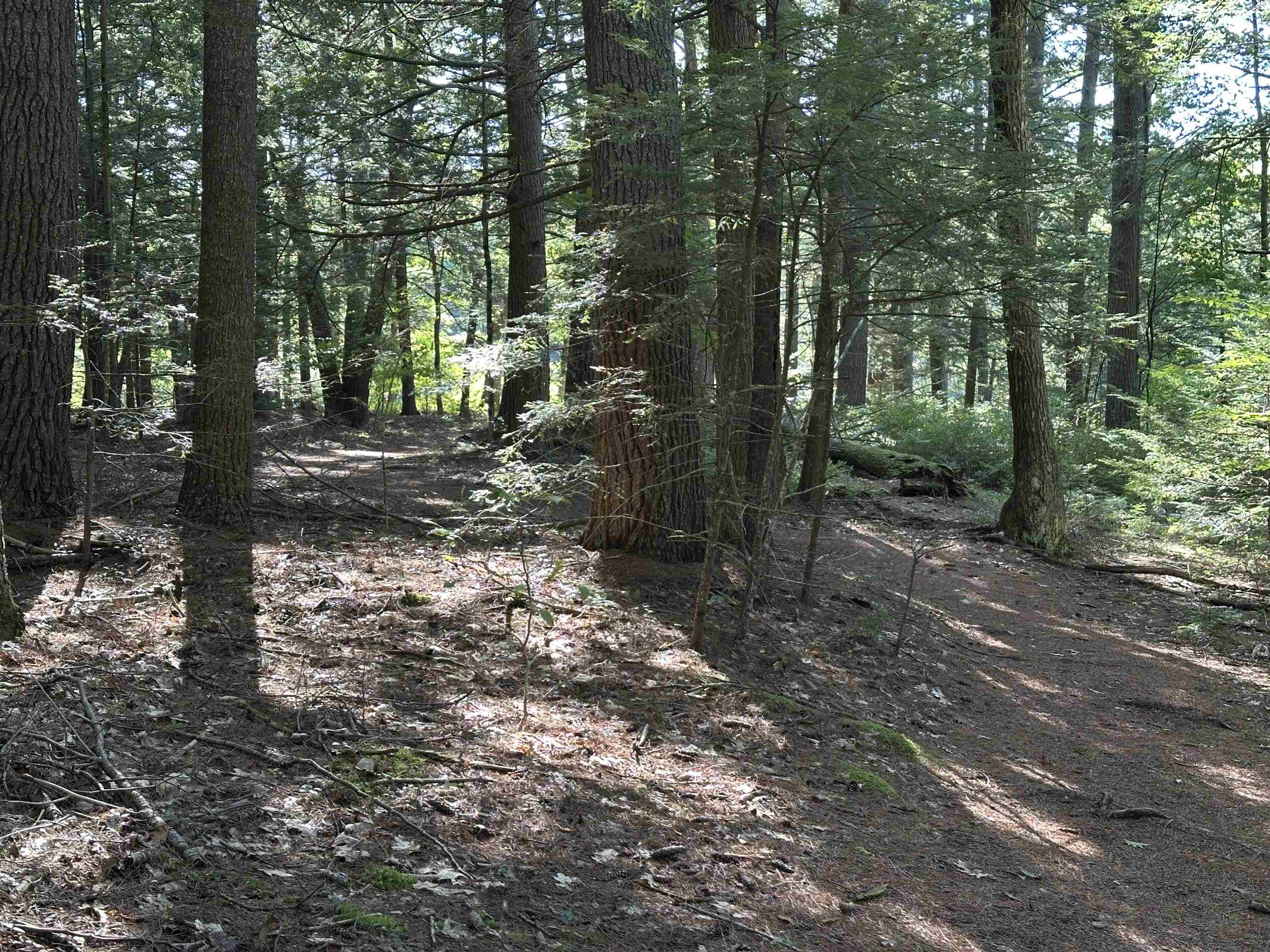 39 Monadnock Road Property Photo 4