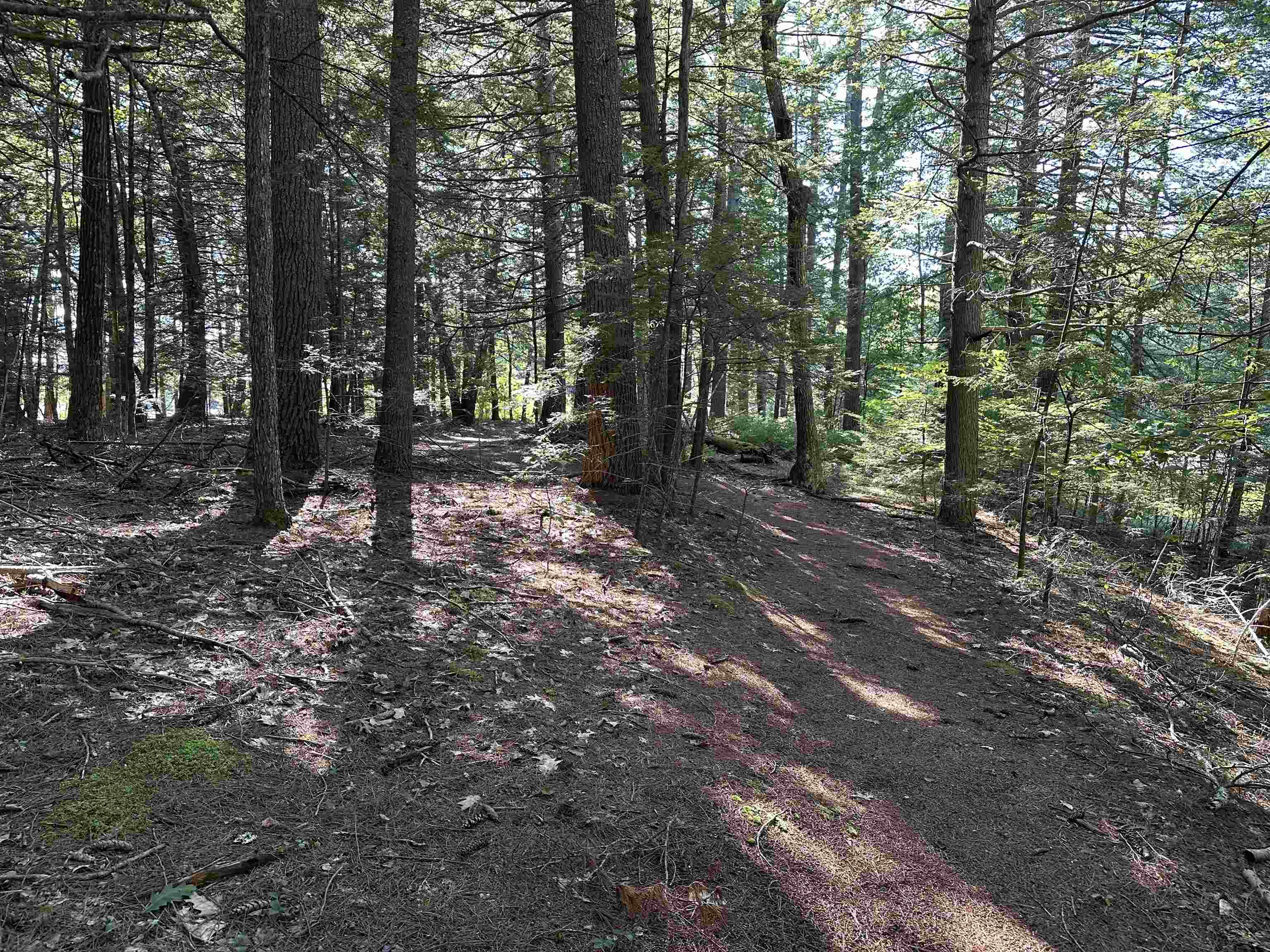 39 Monadnock Road Property Photo 5