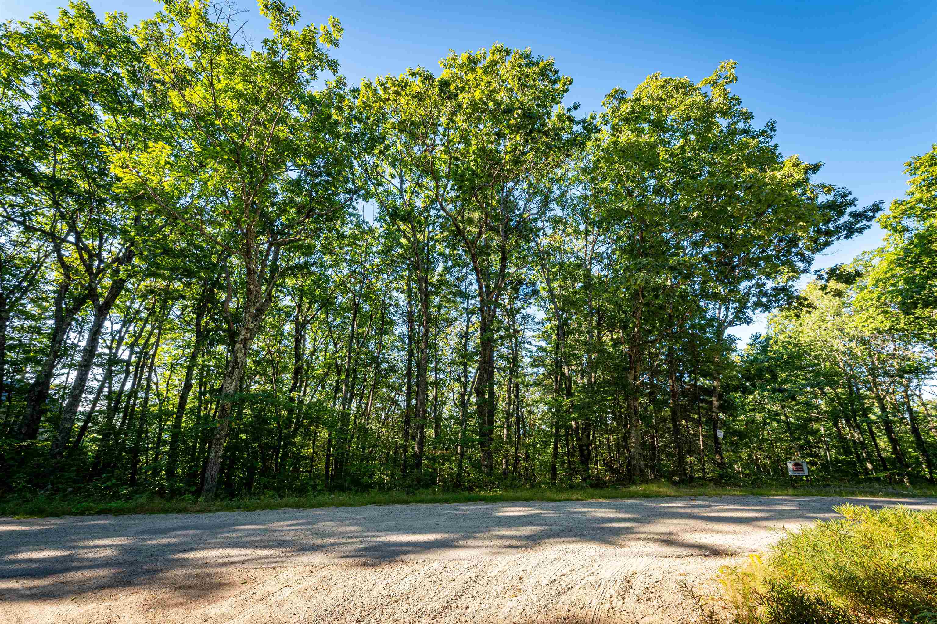 18 And 25 18 Rigi 25 Upper Lakeview Drive Property Photo 19