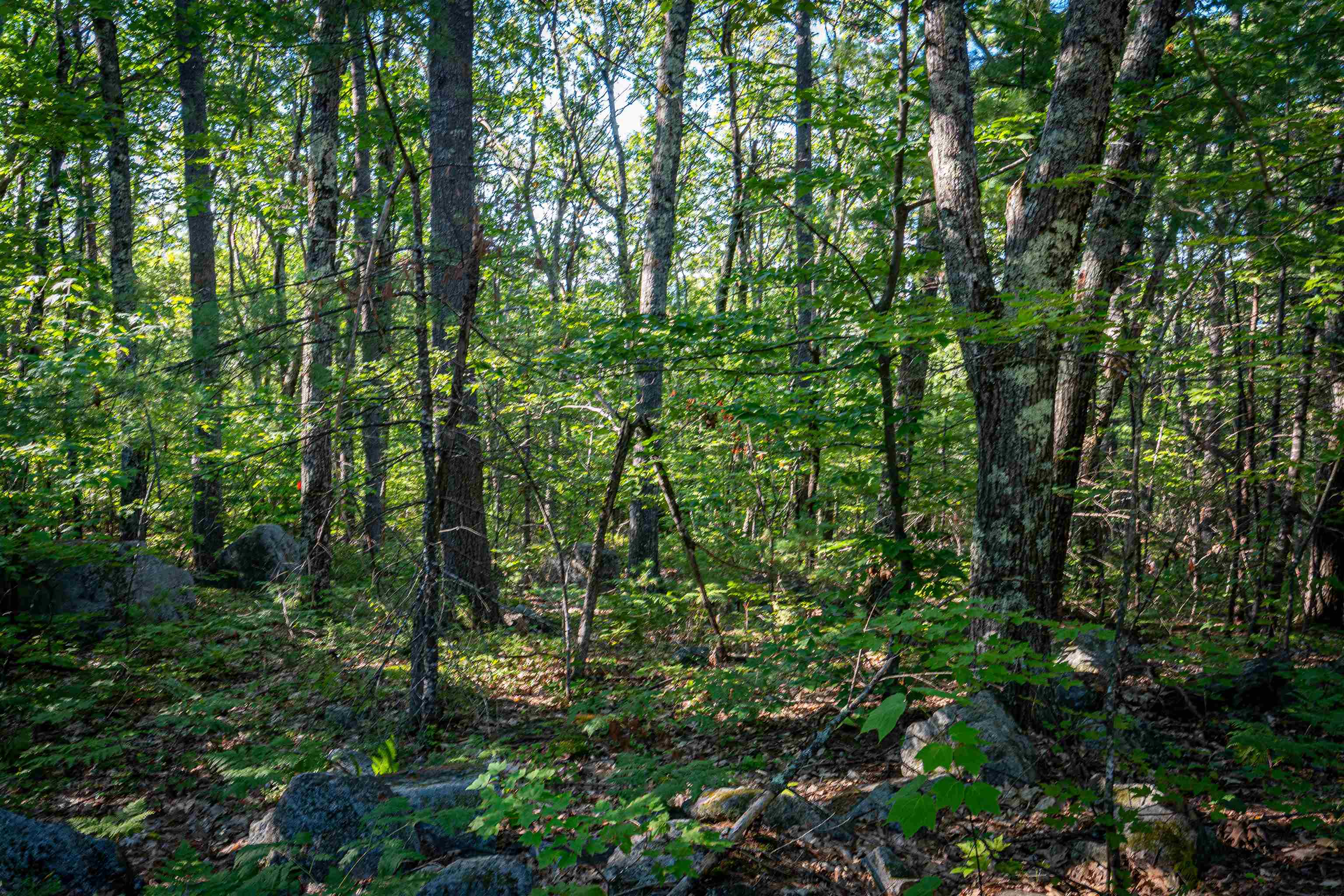 18 And 25 18 Rigi 25 Upper Lakeview Drive Property Photo 22