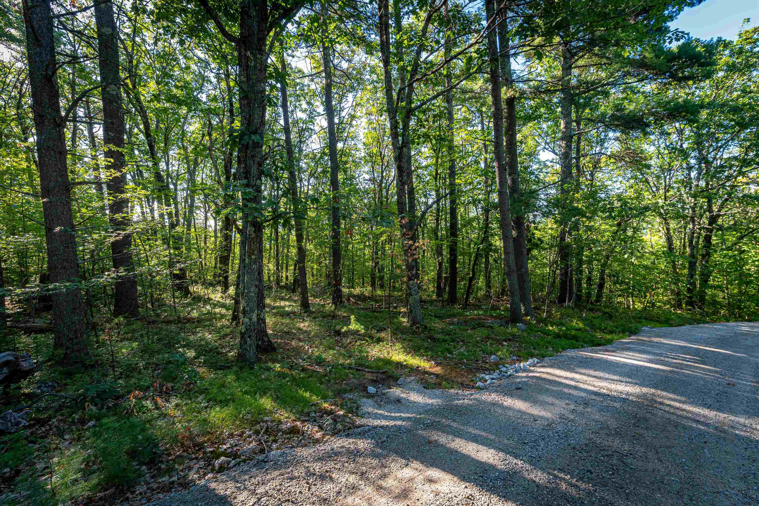 18 And 25 18 Rigi 25 Upper Lakeview Drive Property Photo 41