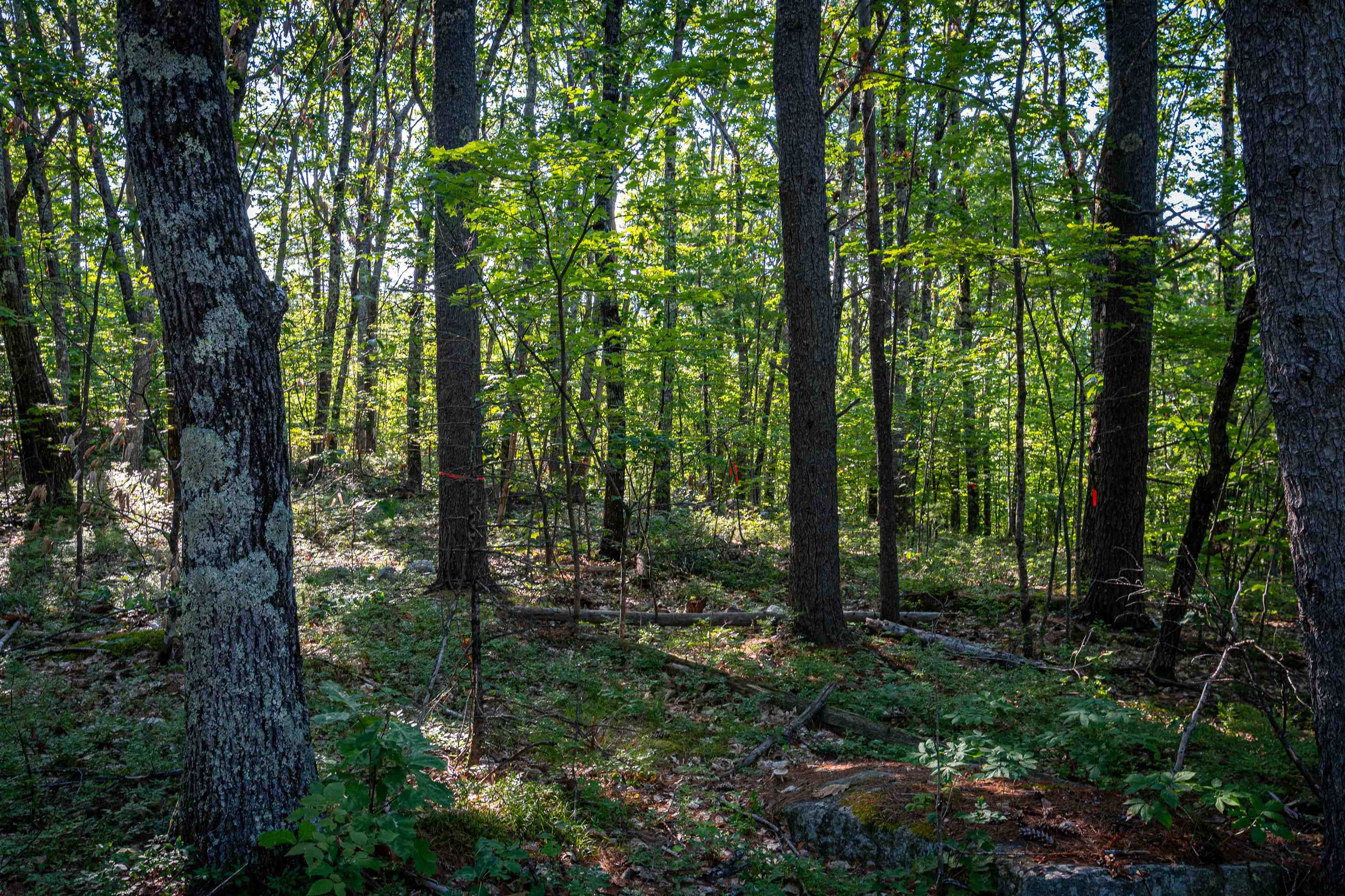 18 And 25 18 Rigi 25 Upper Lakeview Drive Property Photo 42