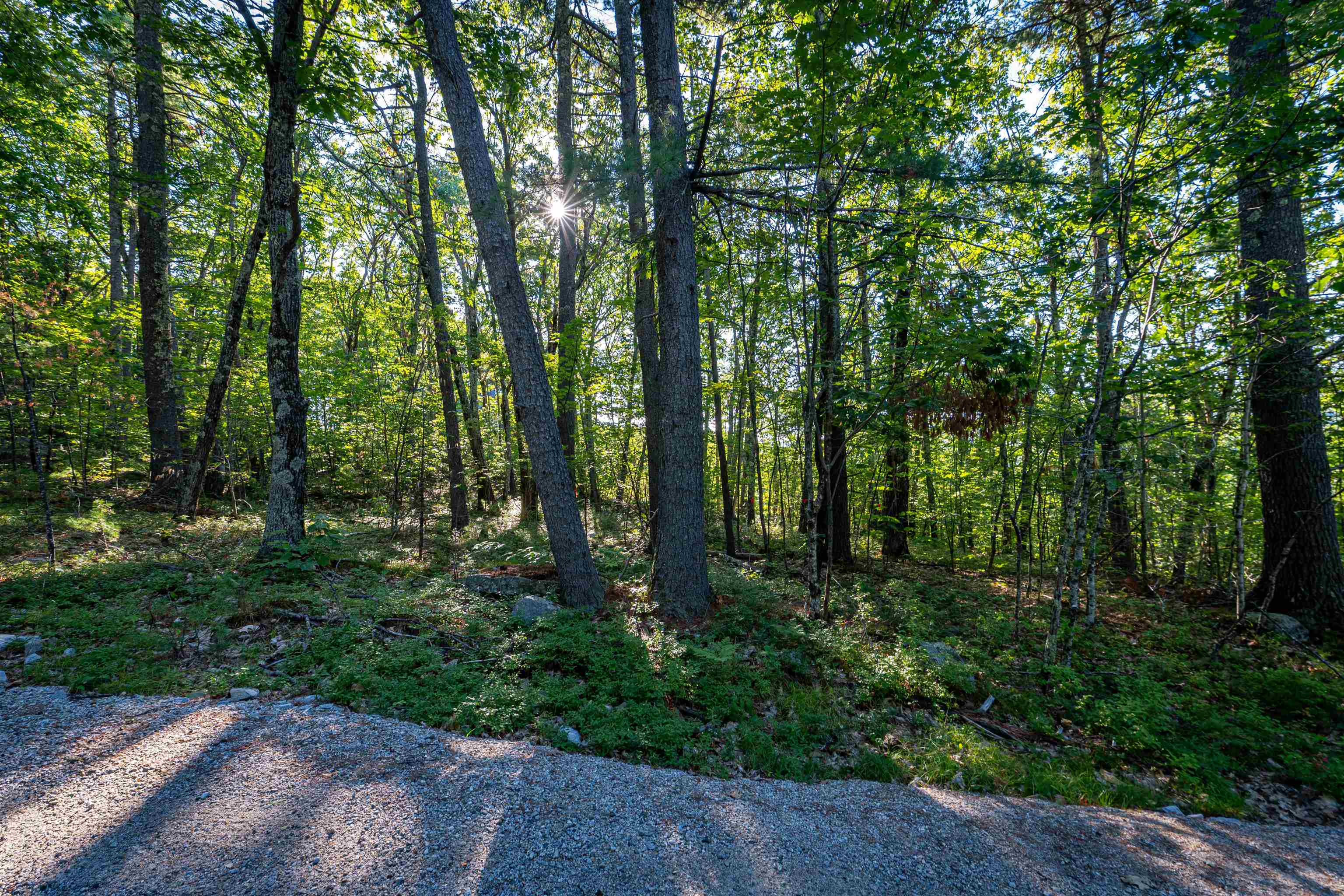 18 And 25 18 Rigi 25 Upper Lakeview Drive Property Photo 43