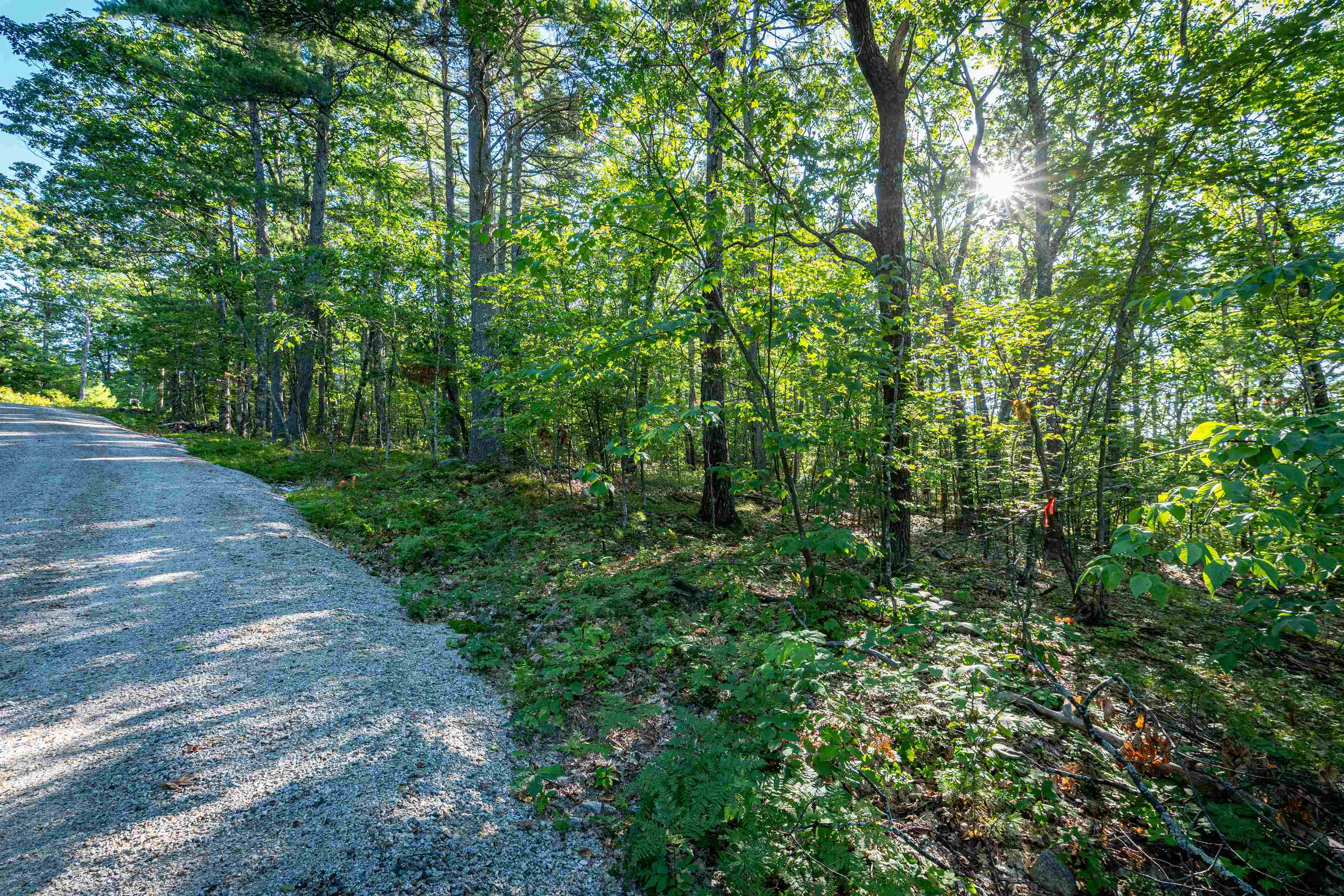 18 And 25 18 Rigi 25 Upper Lakeview Drive Property Photo 44