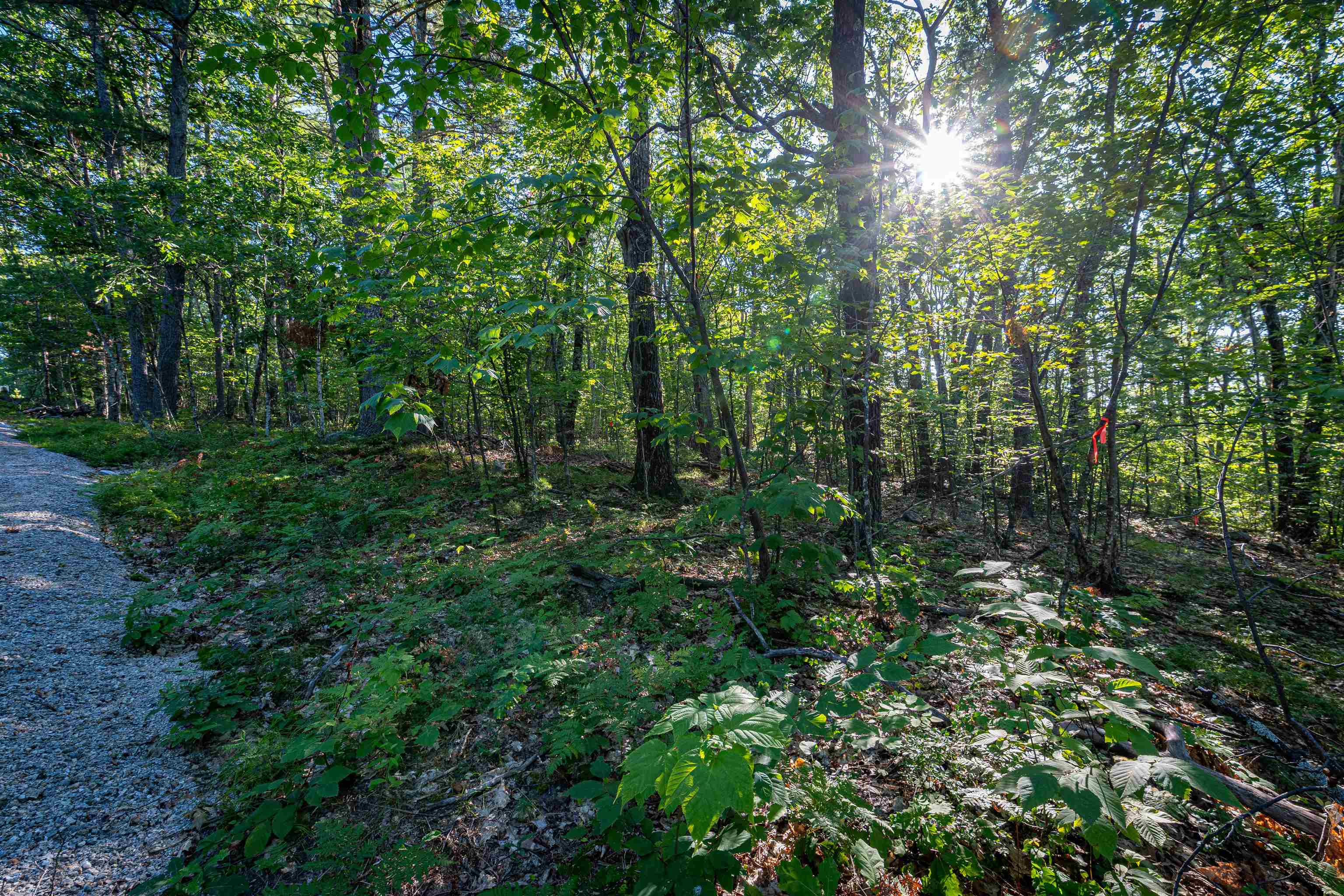 18 And 25 18 Rigi 25 Upper Lakeview Drive Property Photo 45