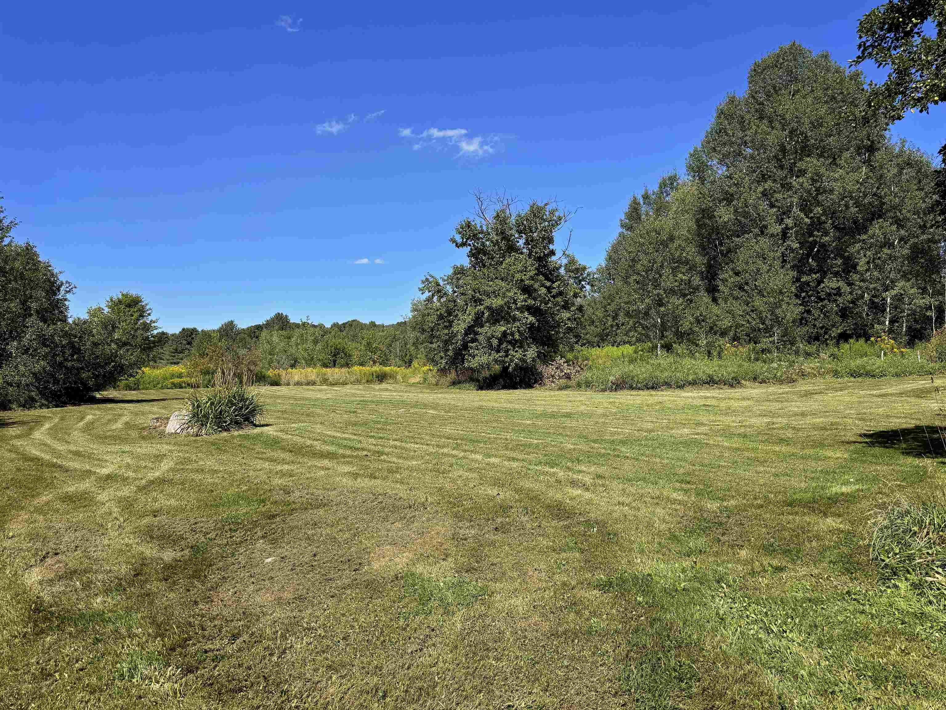 2941 Center Road Property Photo 11