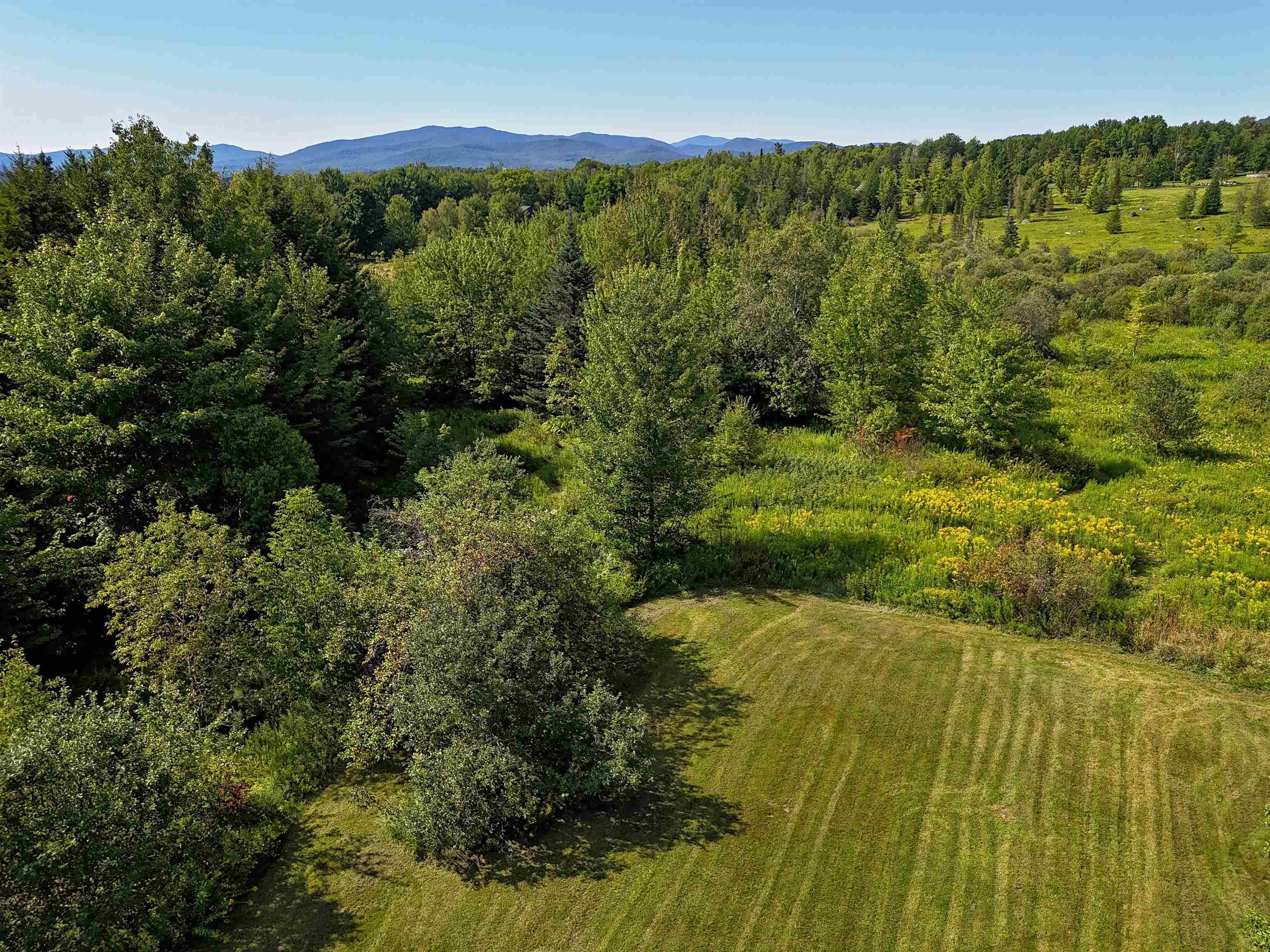 2941 Center Road Property Photo 47