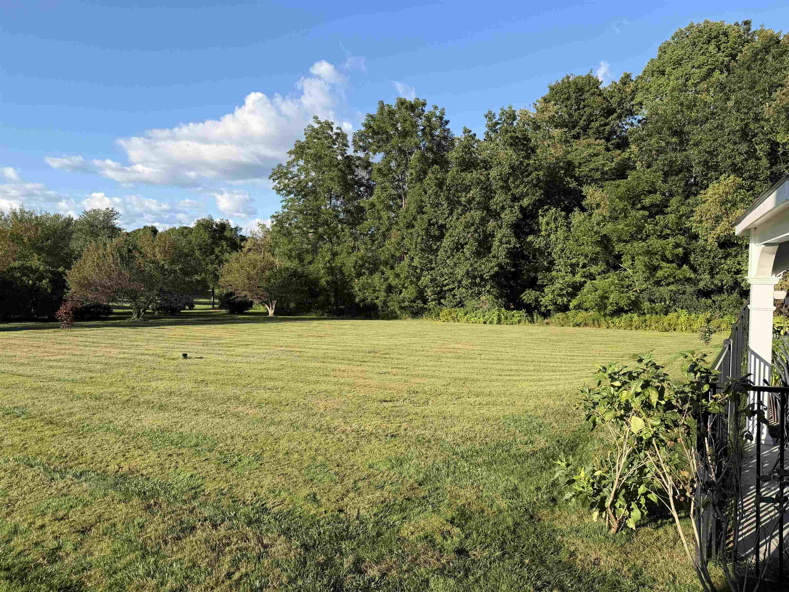 163 Exeter Road Property Photo 32