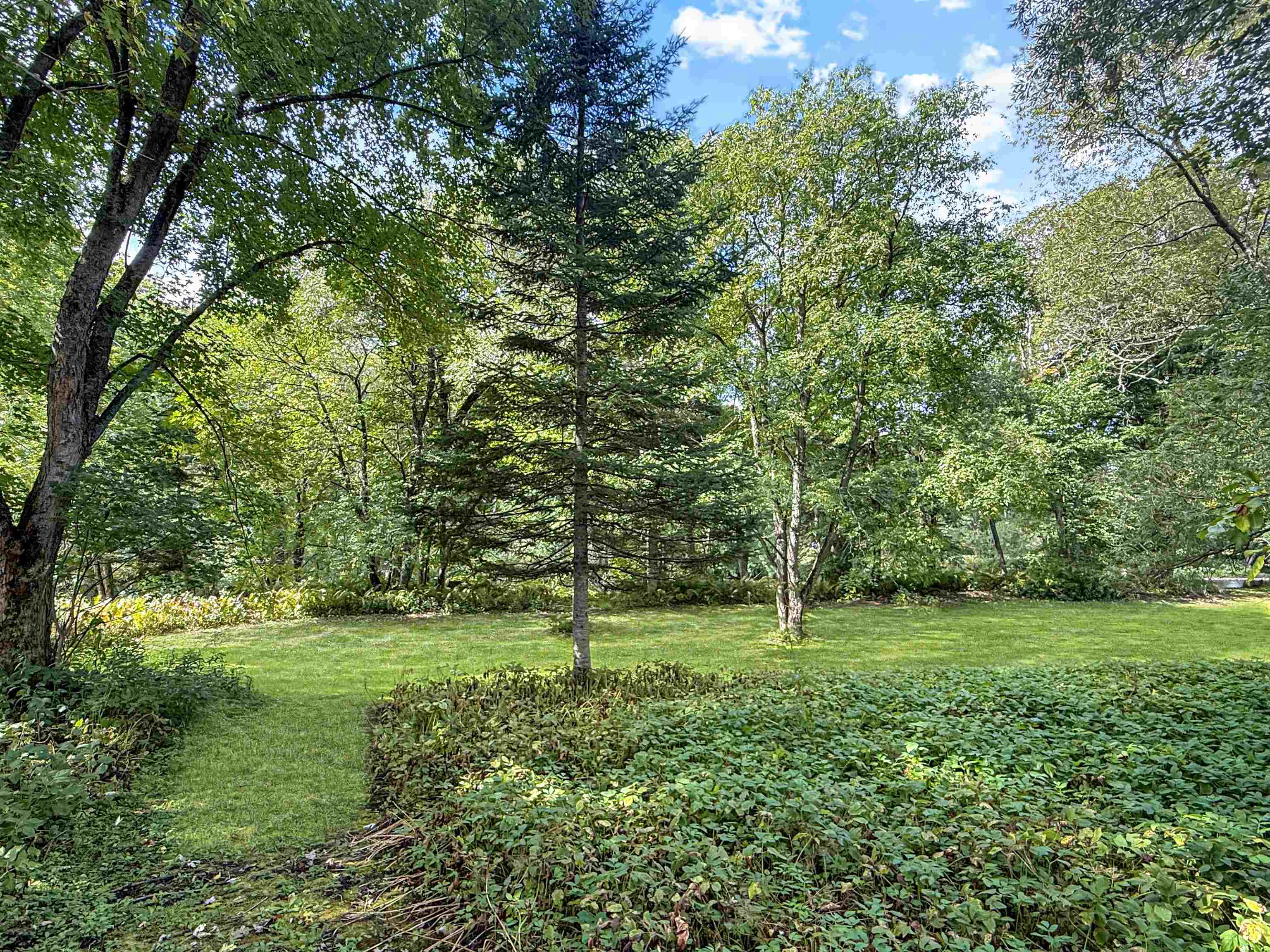 456 River Road Property Photo 12