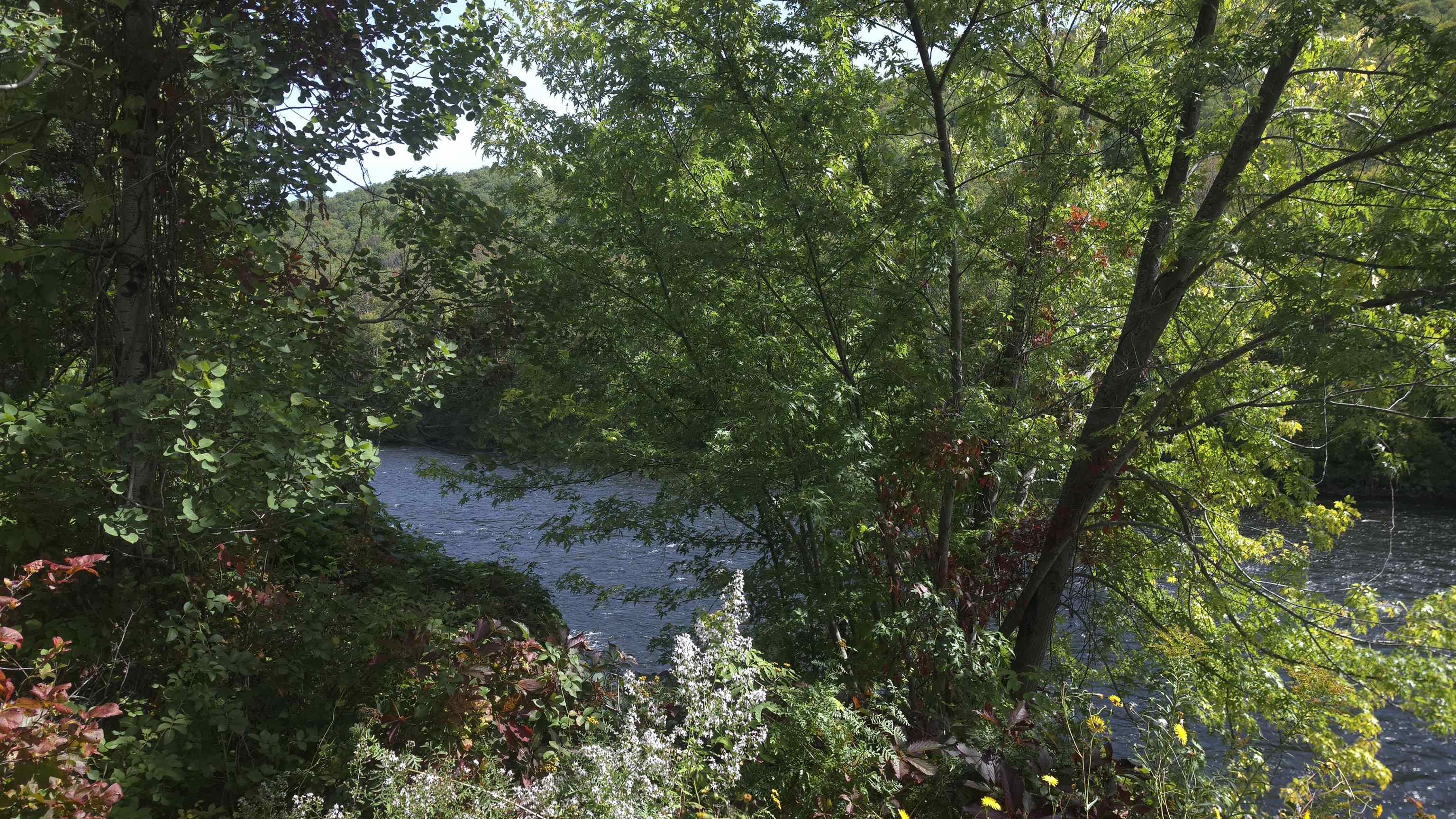 24 Cascade Flats Property Photo 9