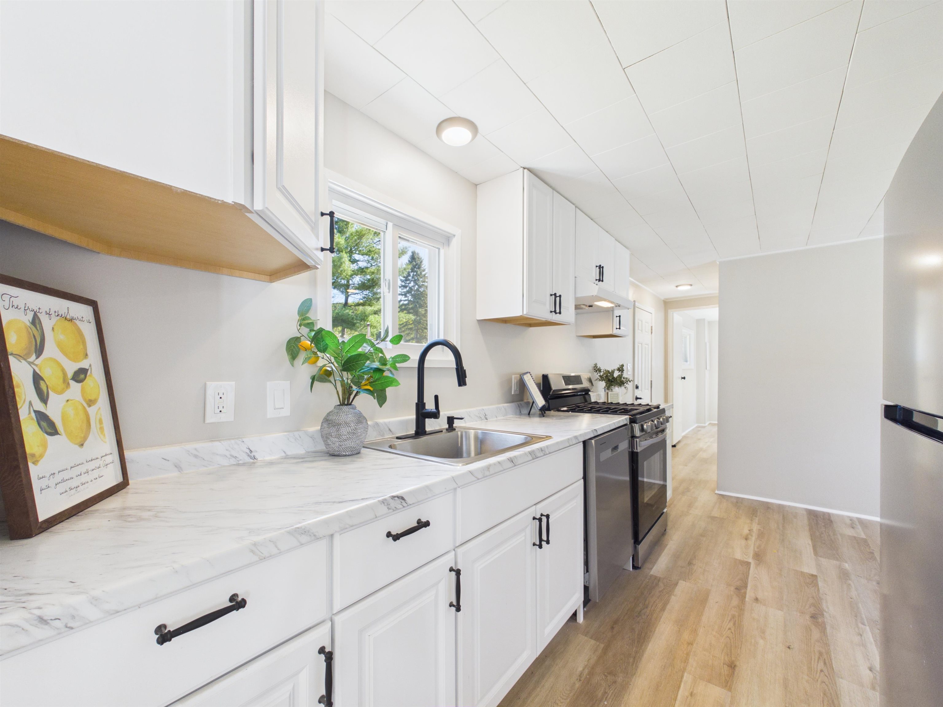 11 Finch Street Property Photo 2