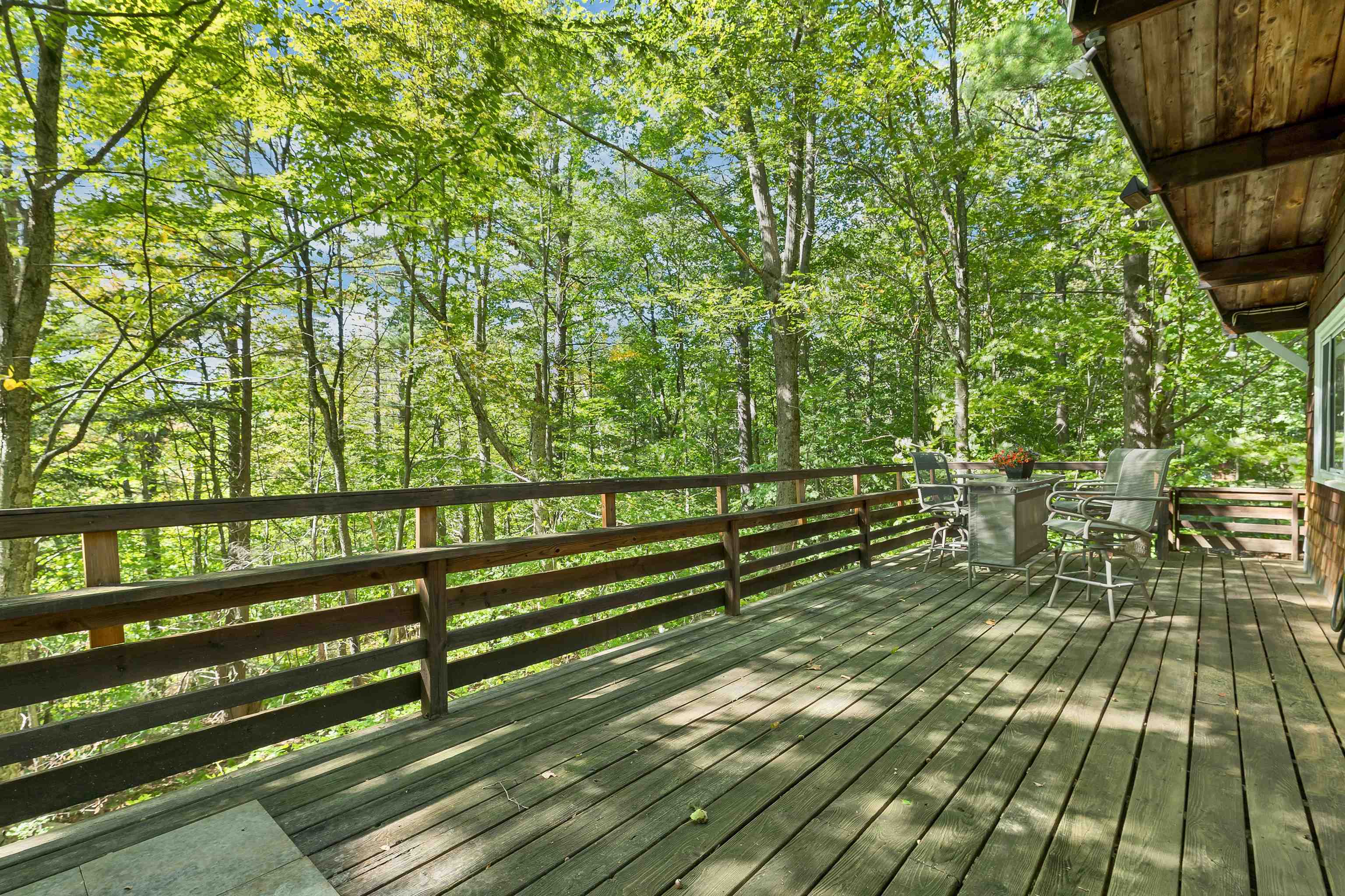 16 Forest Avenue Property Photo 34