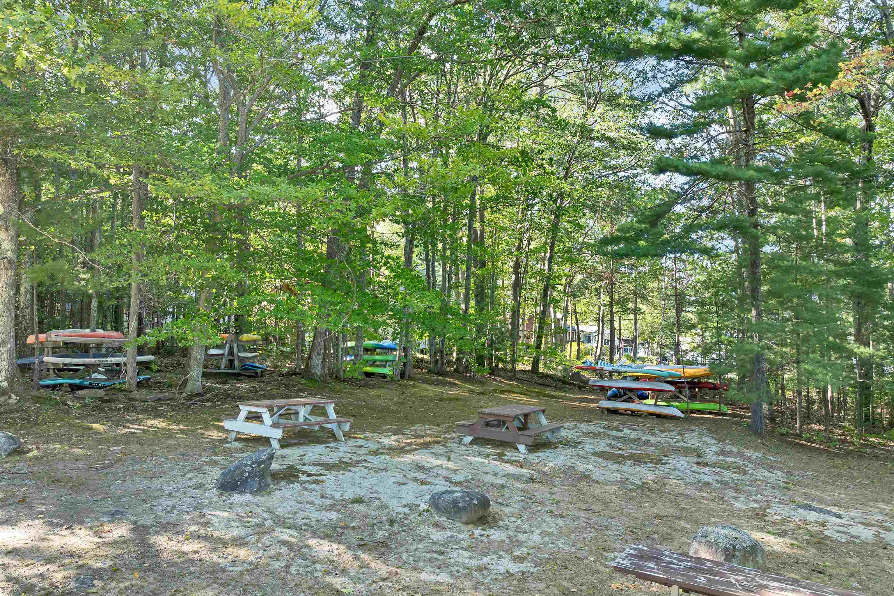 16 Forest Avenue Property Photo 38