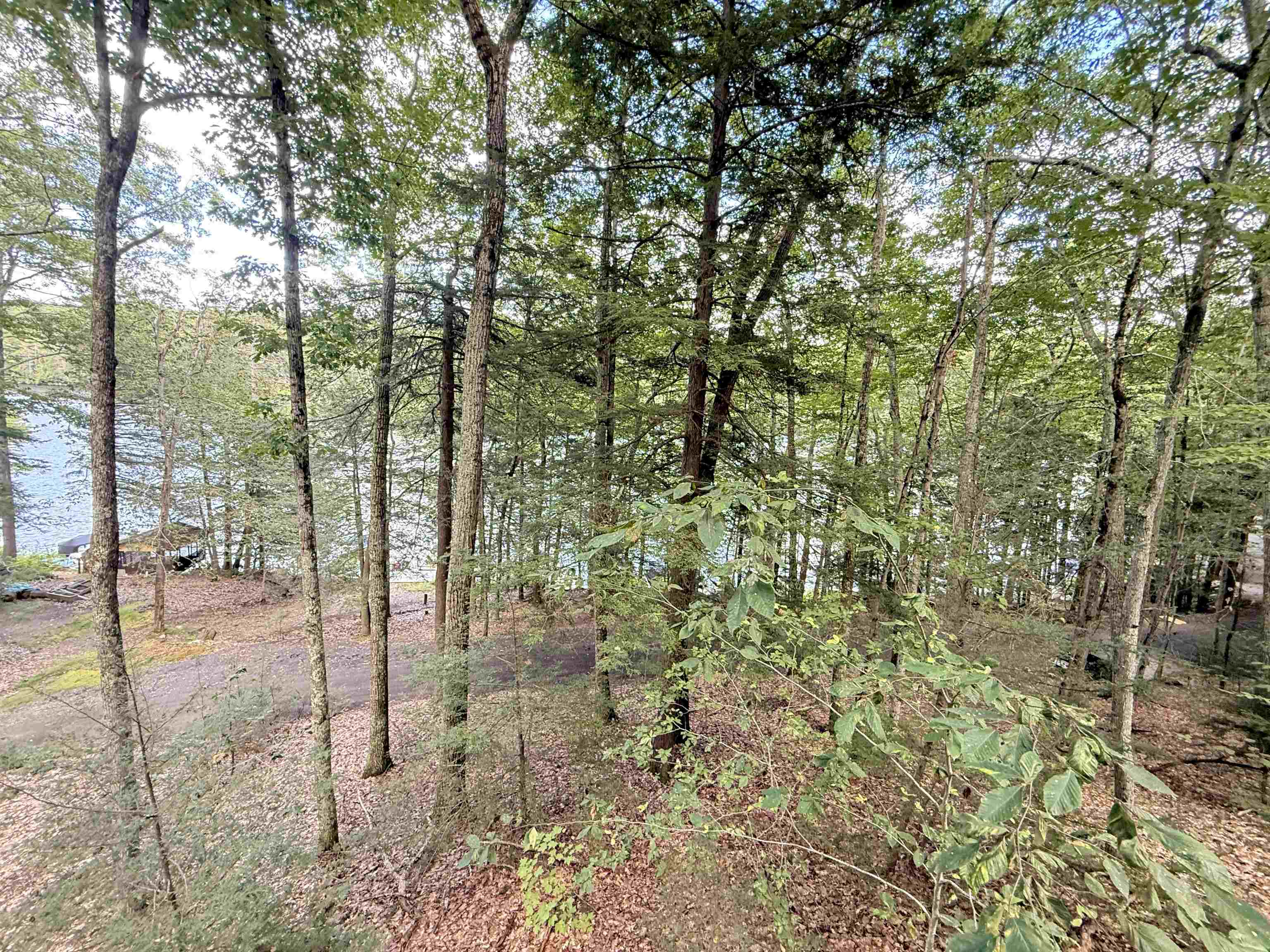 11 Kimball Street Property Photo 7