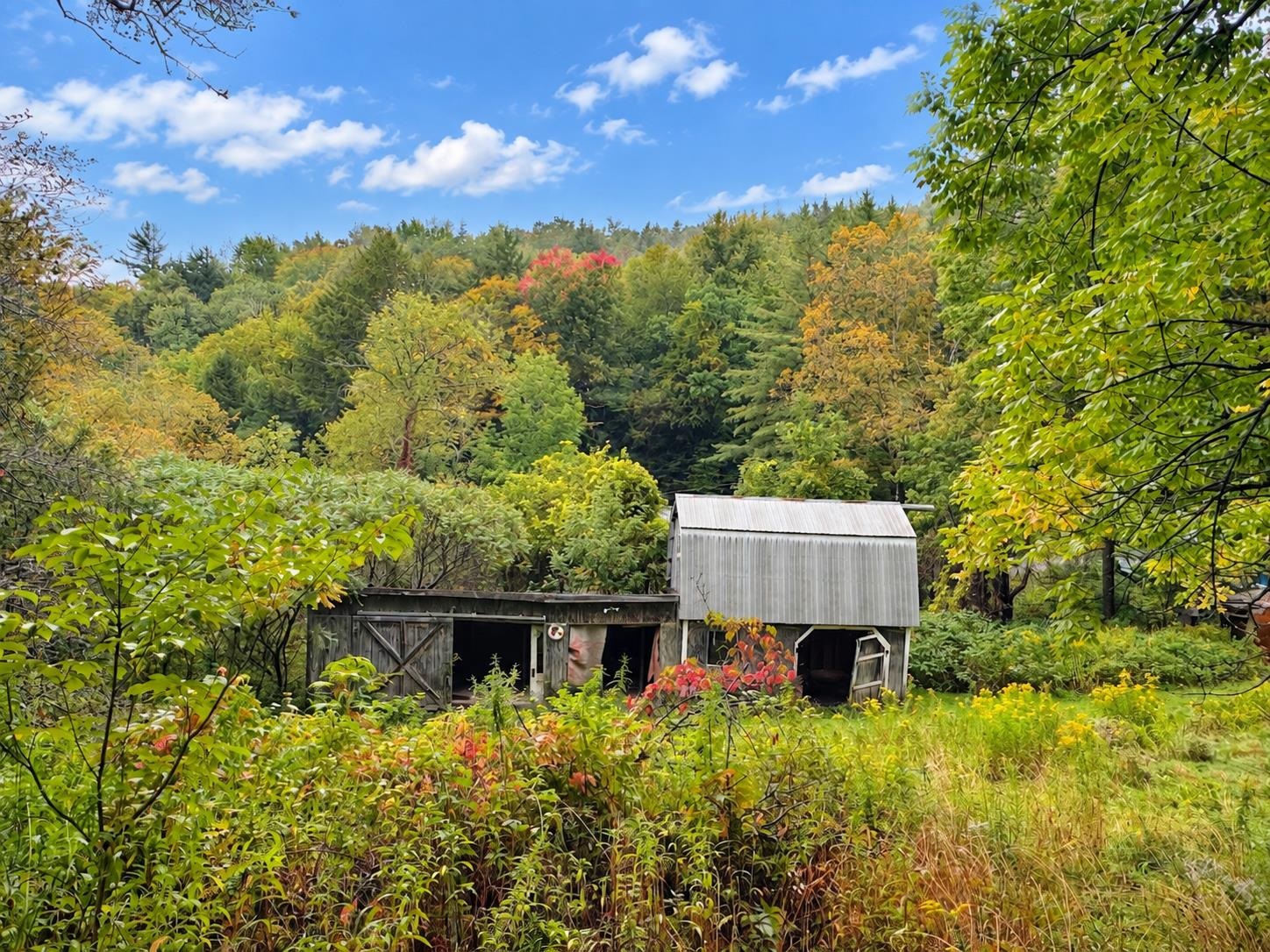 176 Glen Avenue Property Photo 28