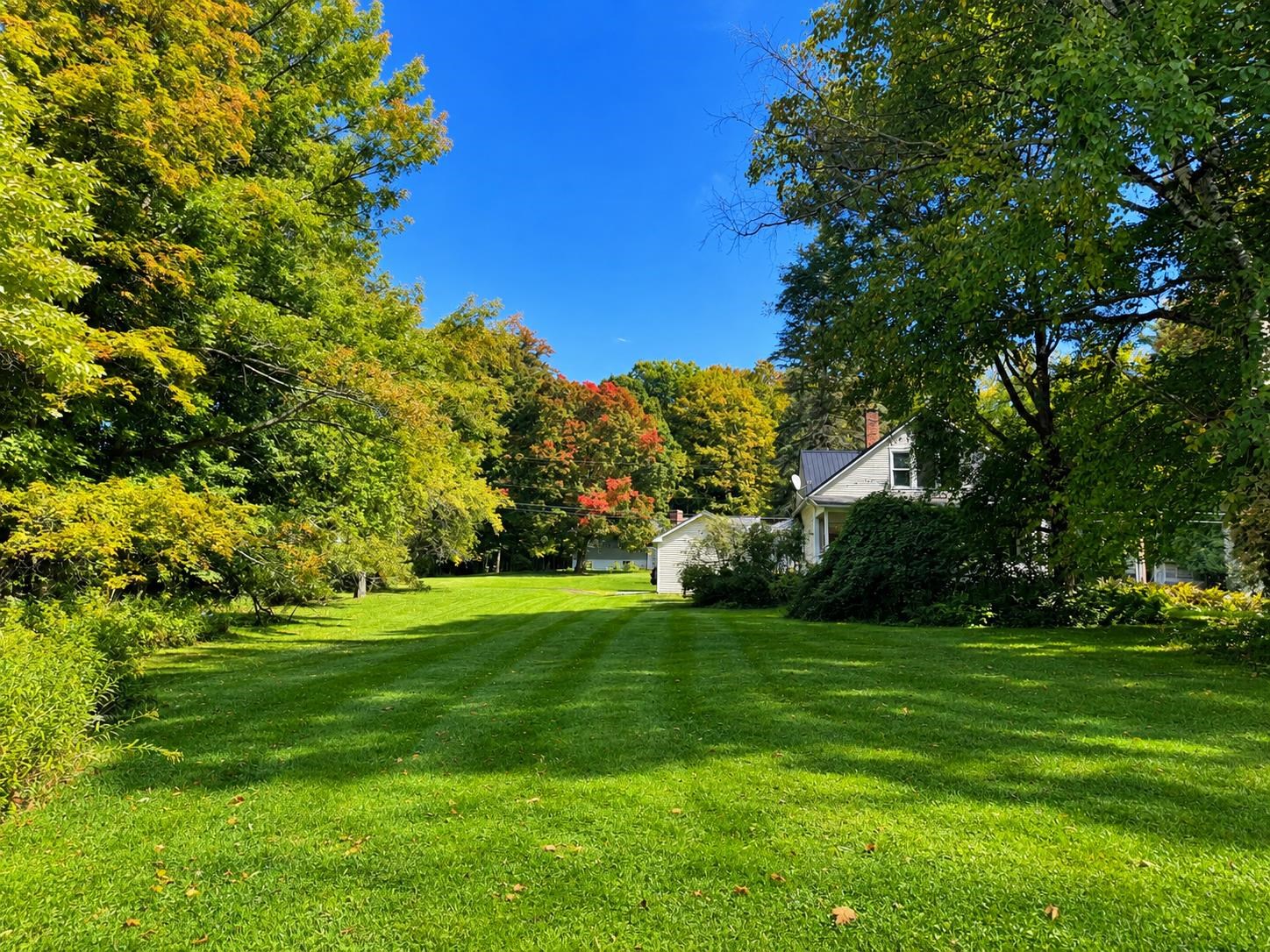 4168 Darling Hill Road Property Photo 23