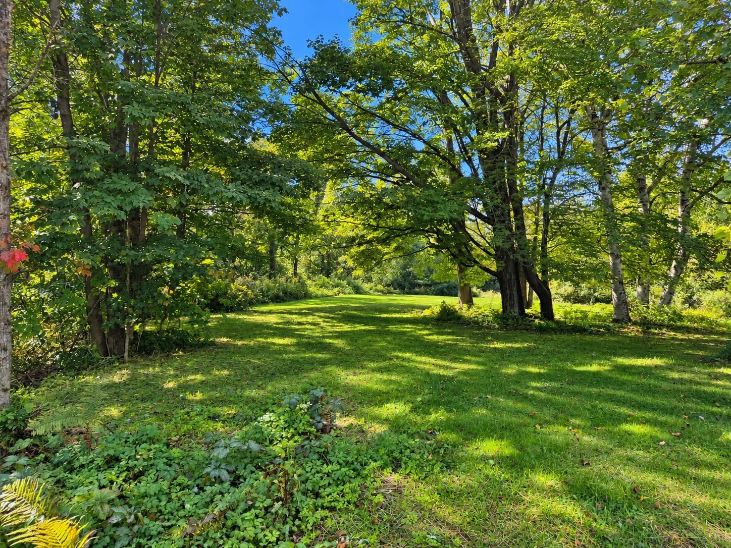 4168 Darling Hill Road Property Photo 24