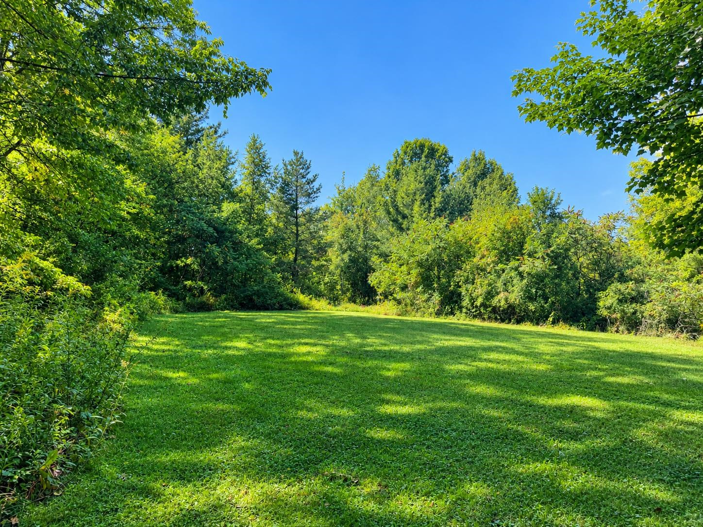 4168 Darling Hill Road Property Photo 27