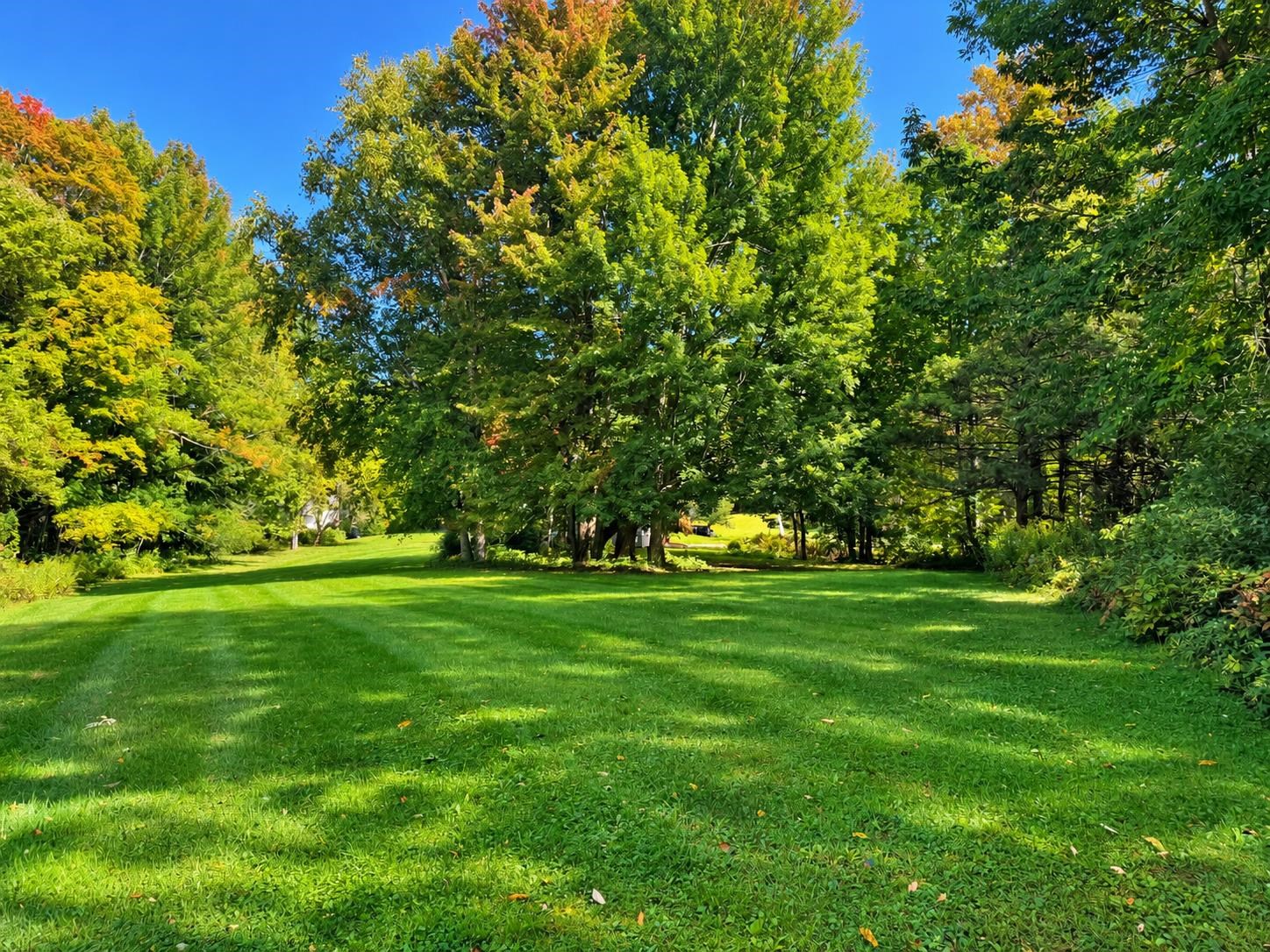 4168 Darling Hill Road Property Photo 28