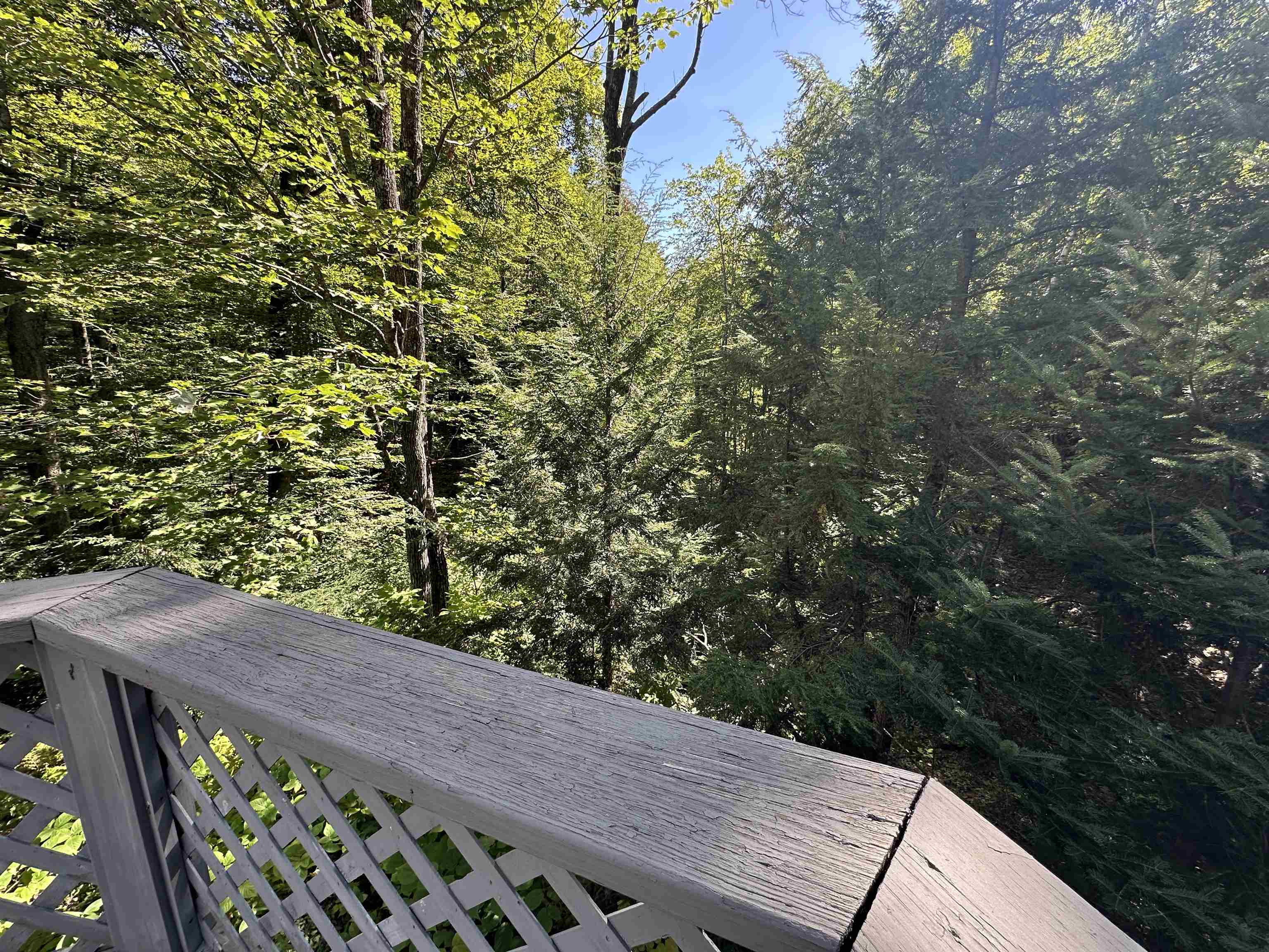 33 Little Shore Drive Property Photo 8