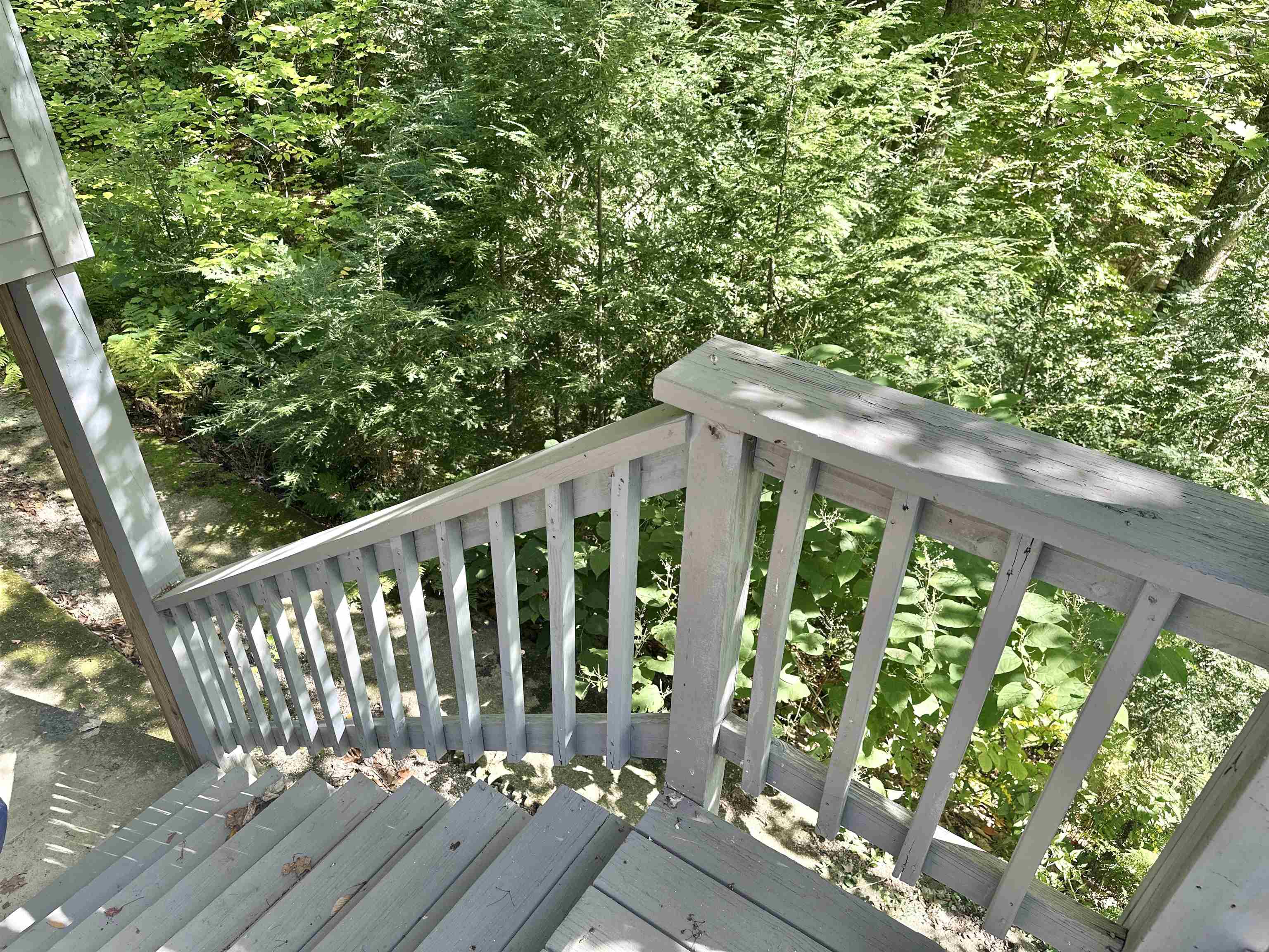 33 Little Shore Drive Property Photo 24