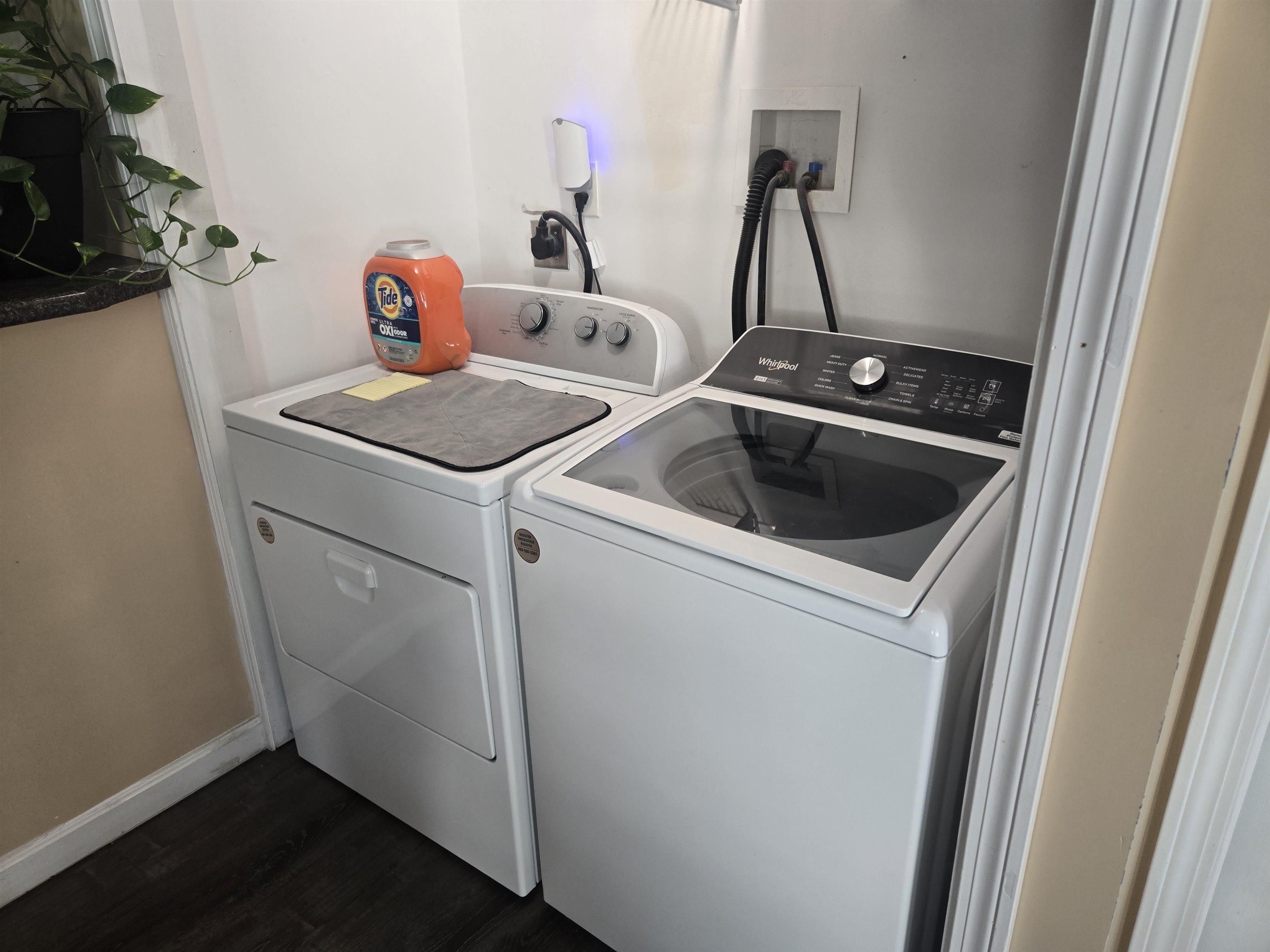 371 Spruce Street Property Photo 41