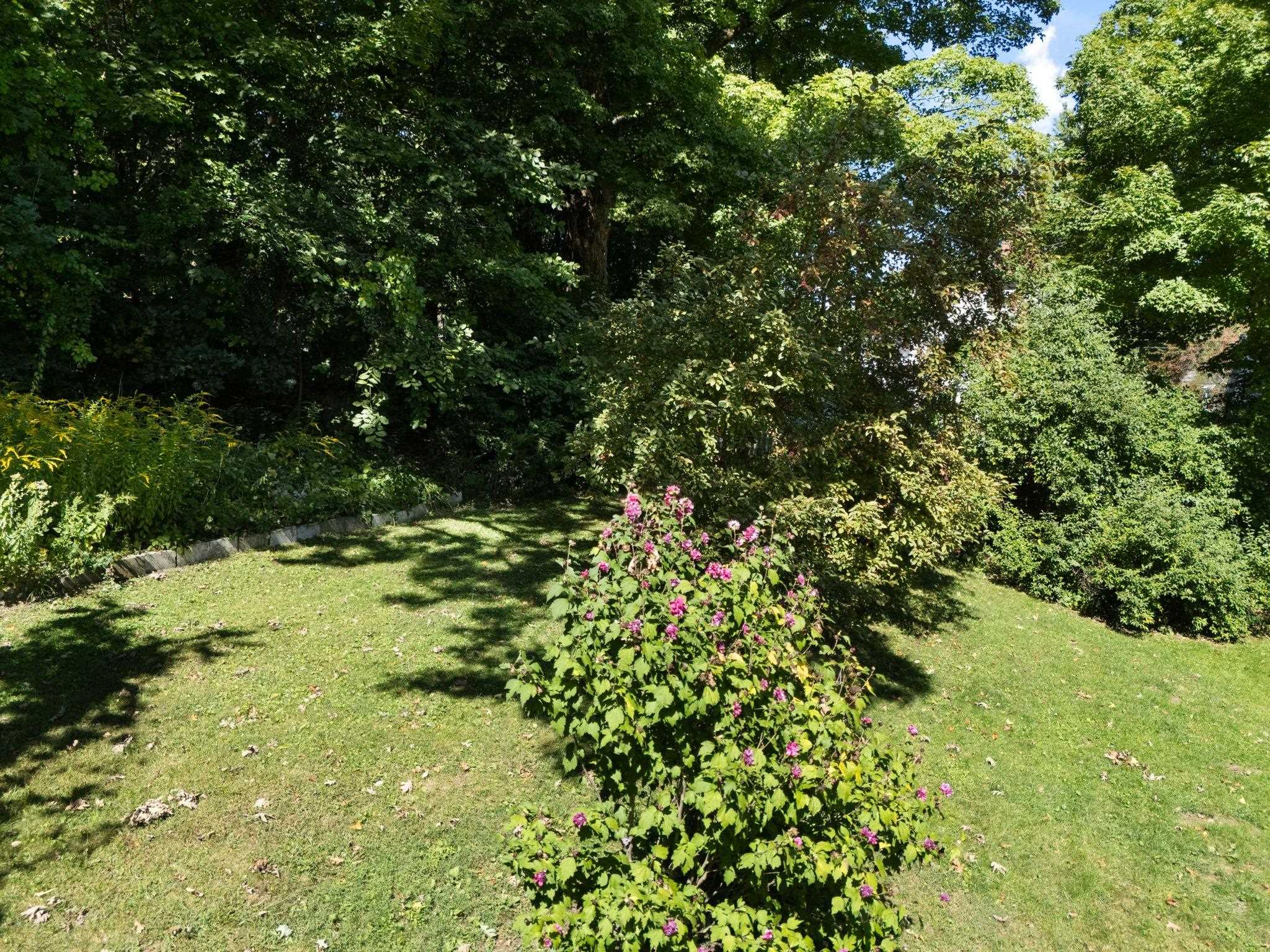 19 Blakeslee Street Property Photo 3