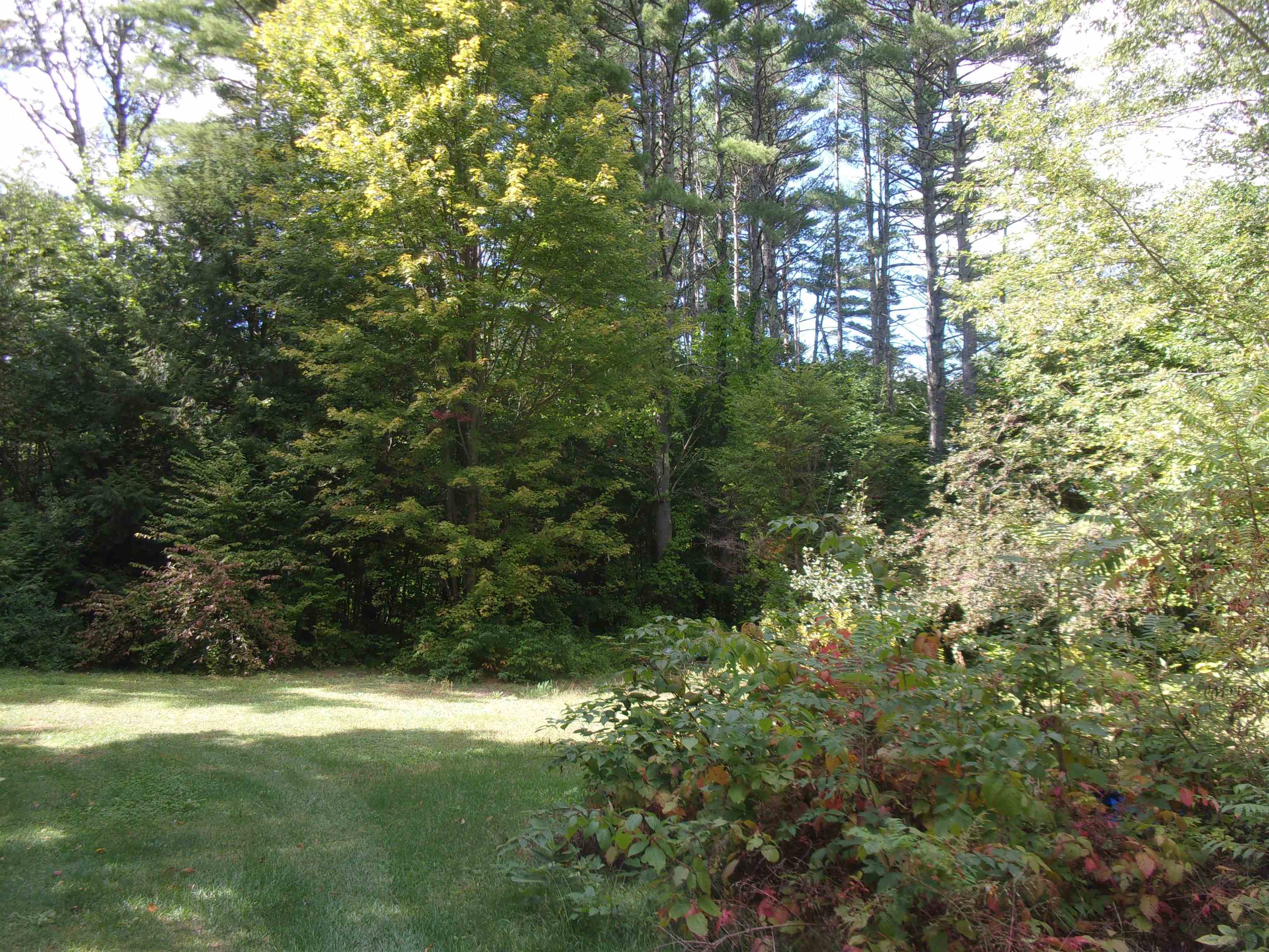 45 Partridge Knoll Road Property Photo 3