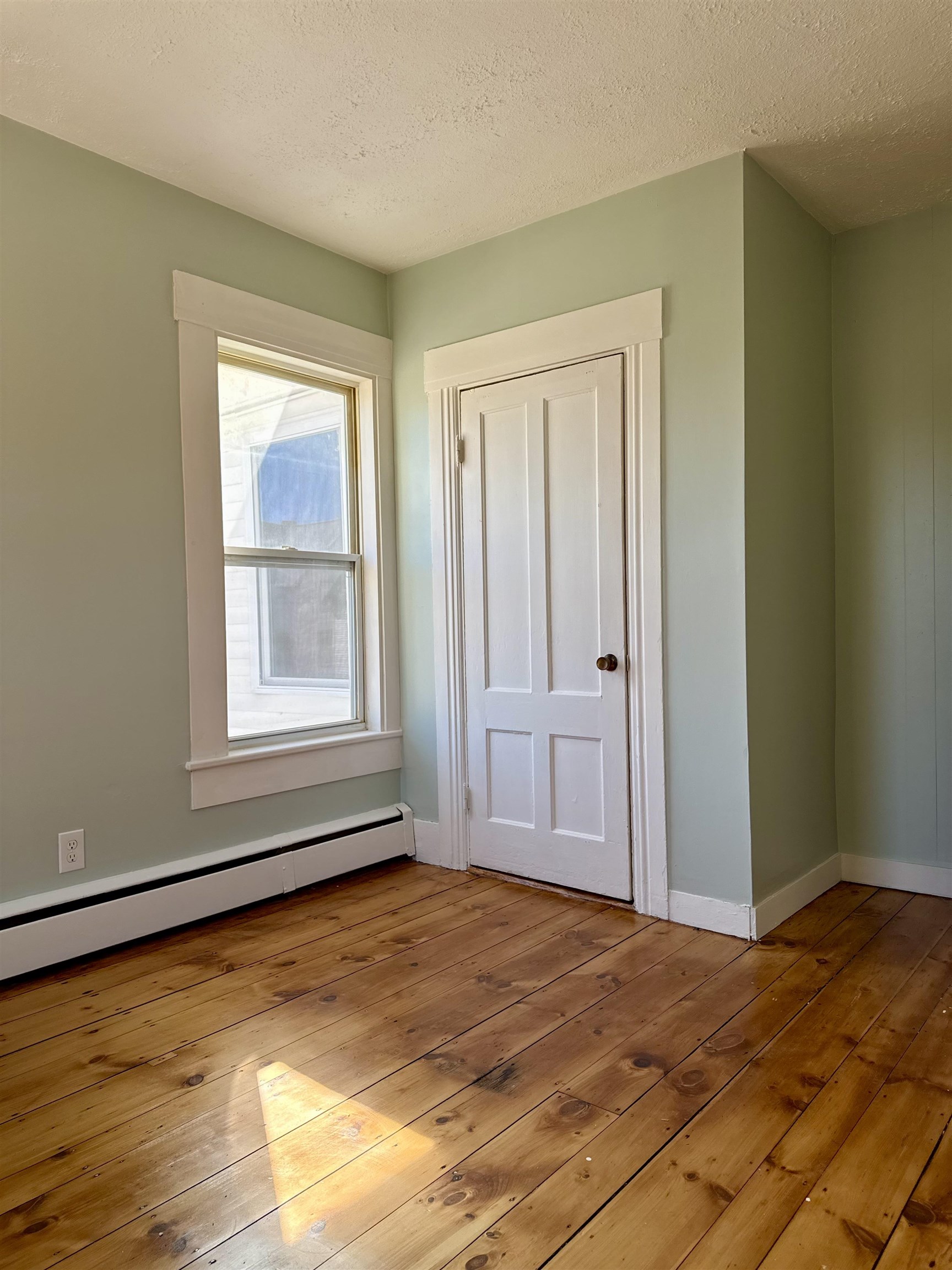 282 Cartier Street Property Photo 5