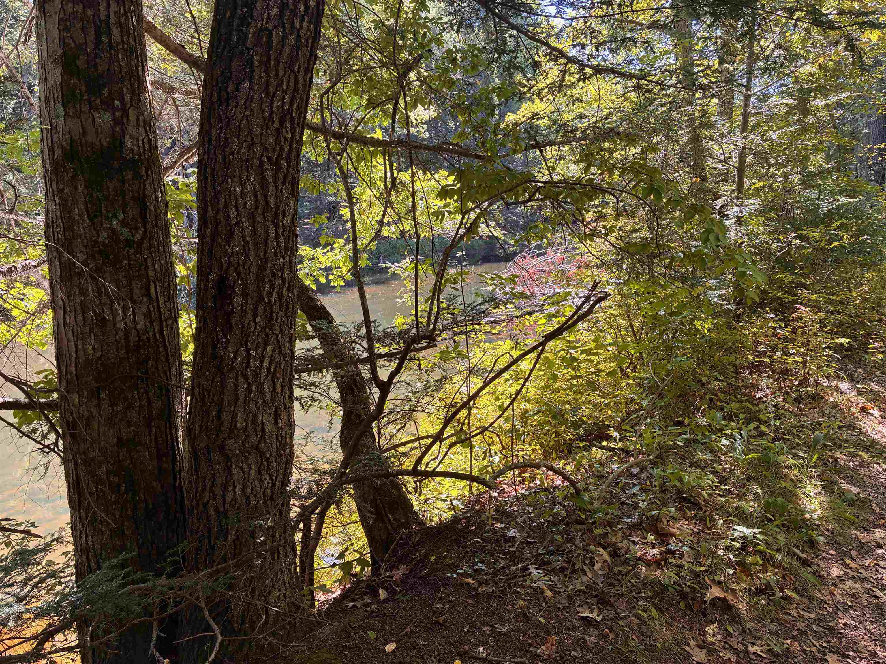 35 Riverside Farm Drive Property Photo 44