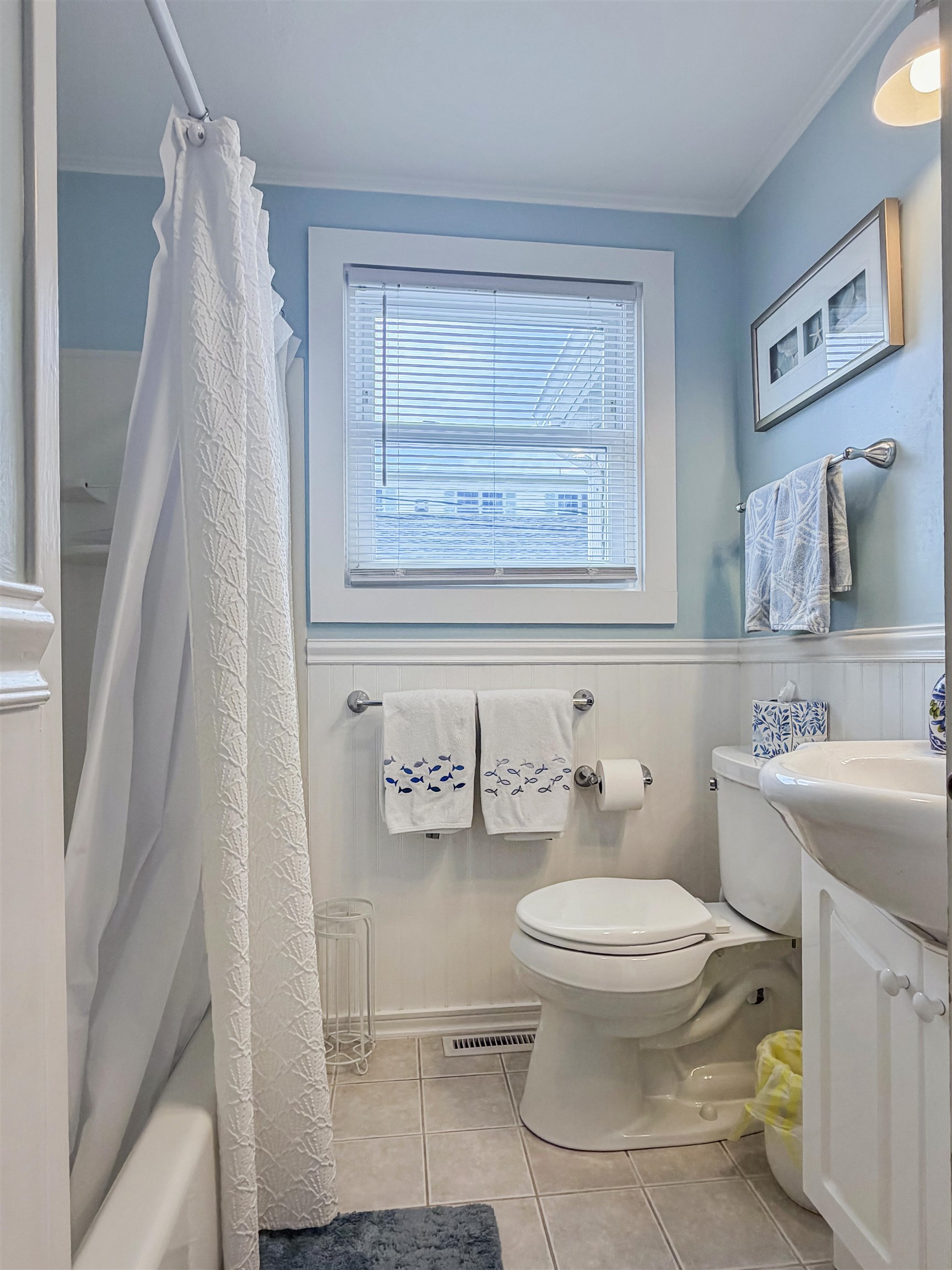 14 Lawrence Street Property Photo 18