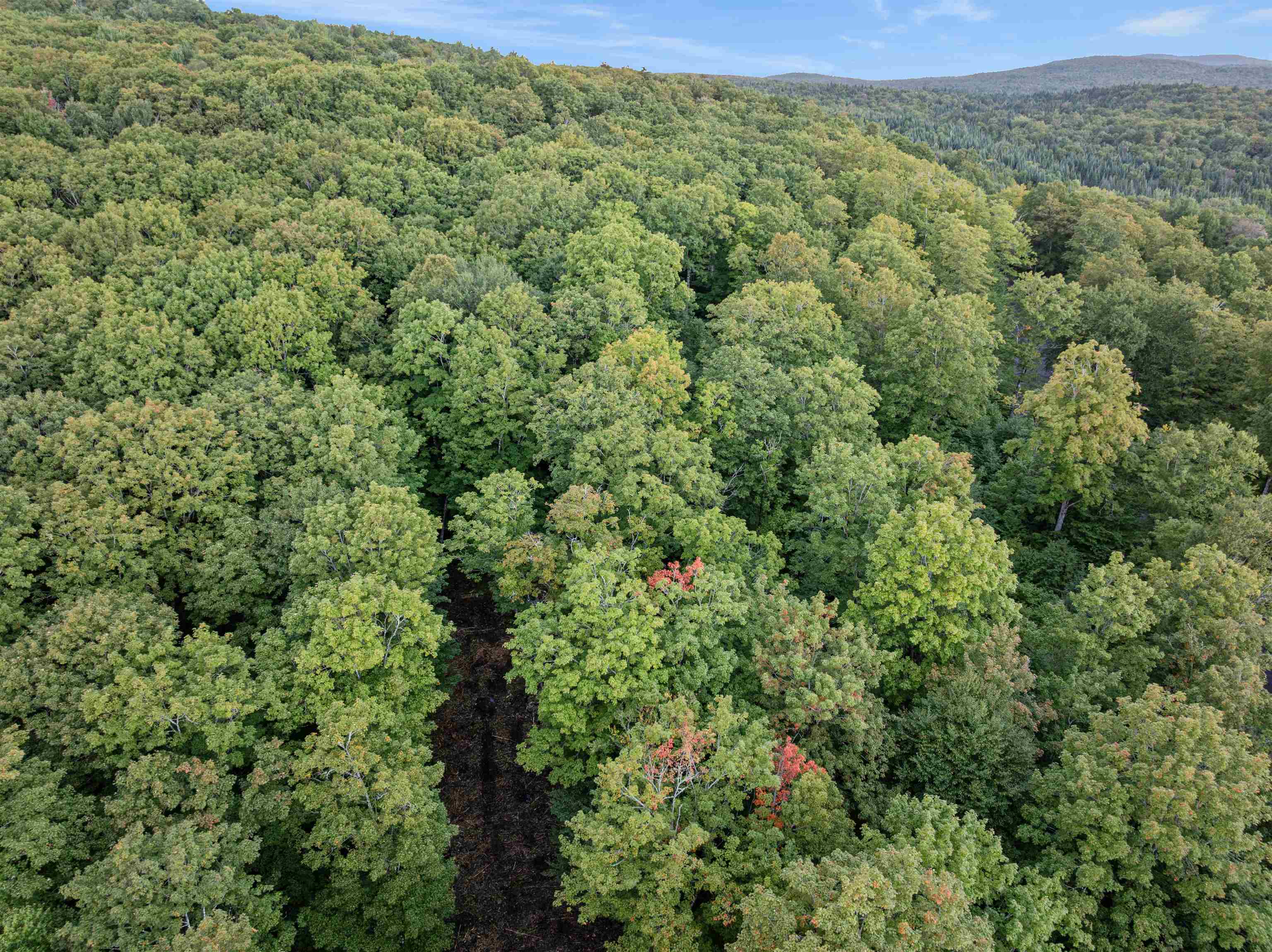 Lot 9 Wood Yard Crossing Property Photo 7