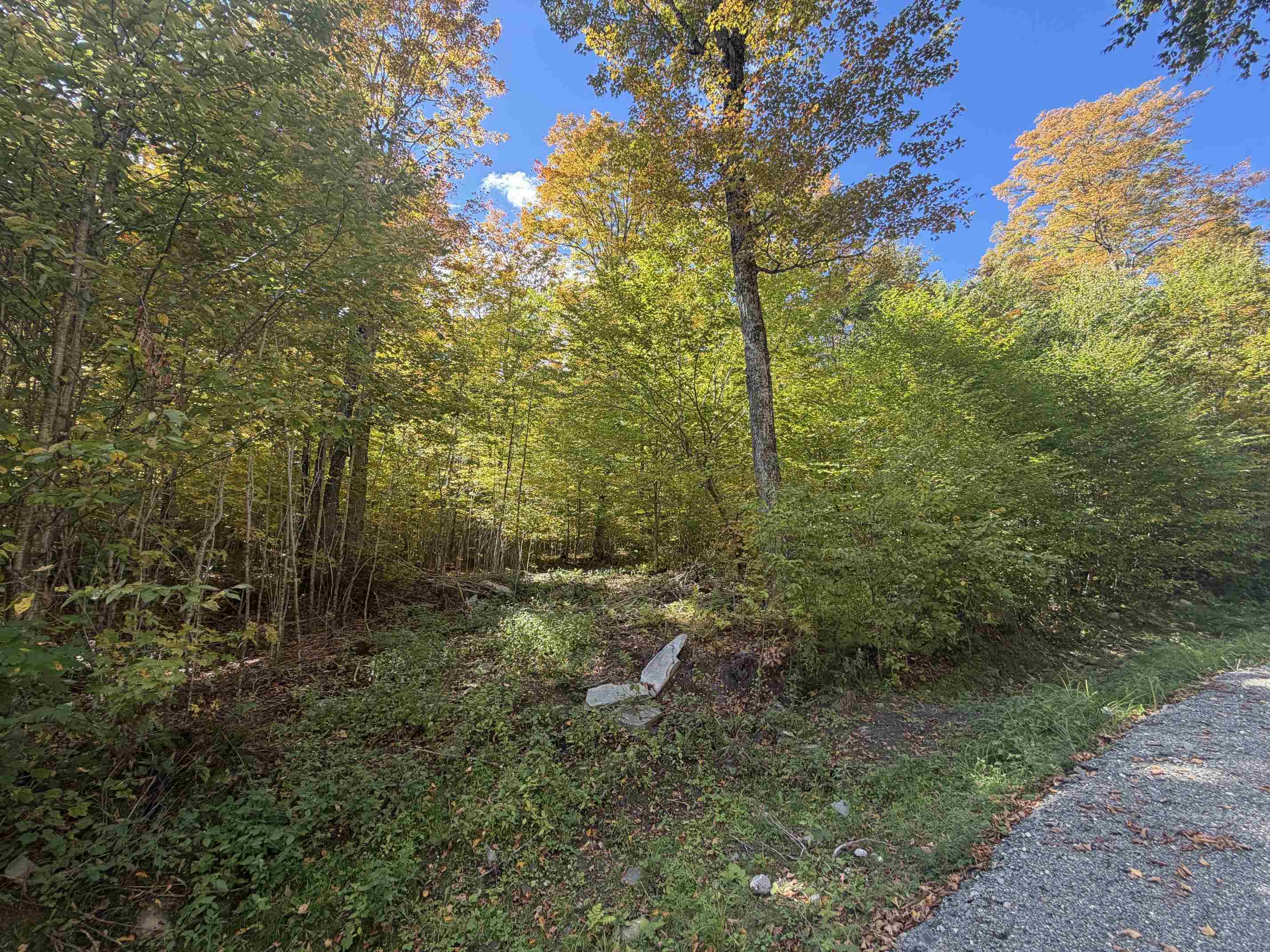 Lot 9 Wood Yard Crossing Property Photo 10