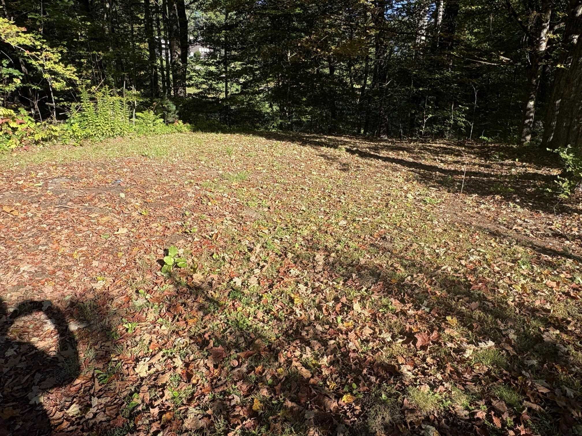 253 Quechee Road Property Photo 19