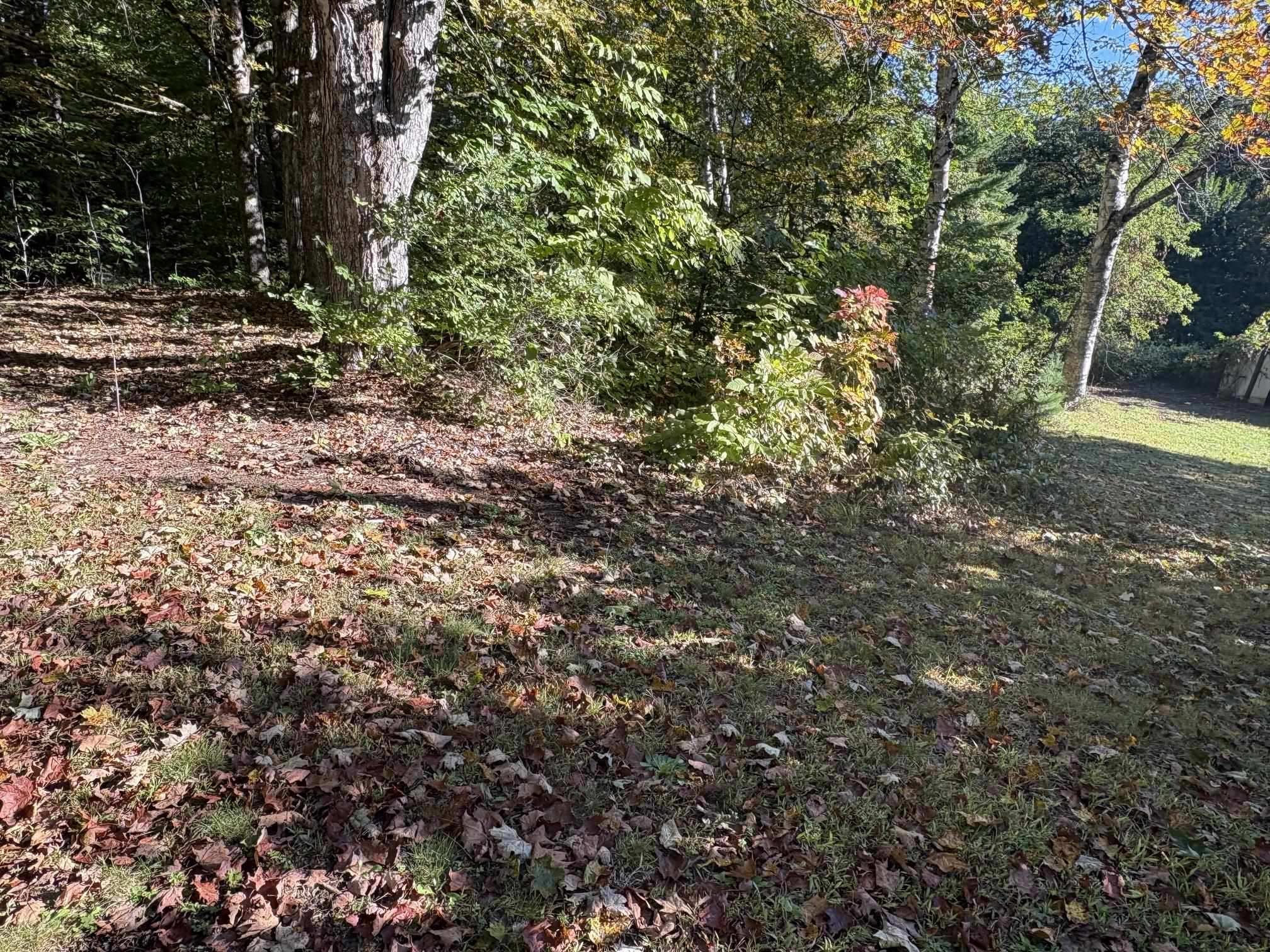 253 Quechee Road Property Photo 20