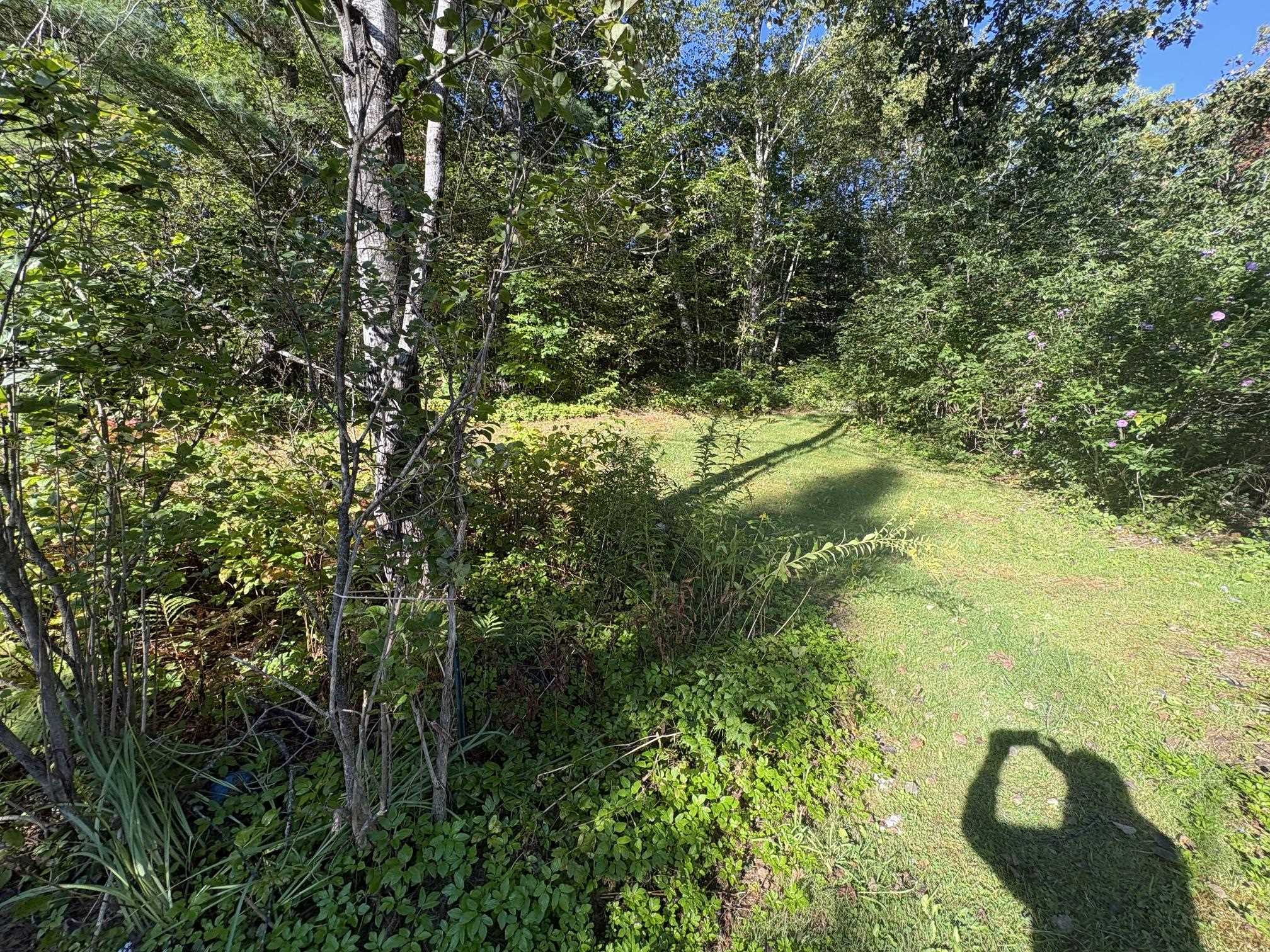253 Quechee Road Property Photo 22