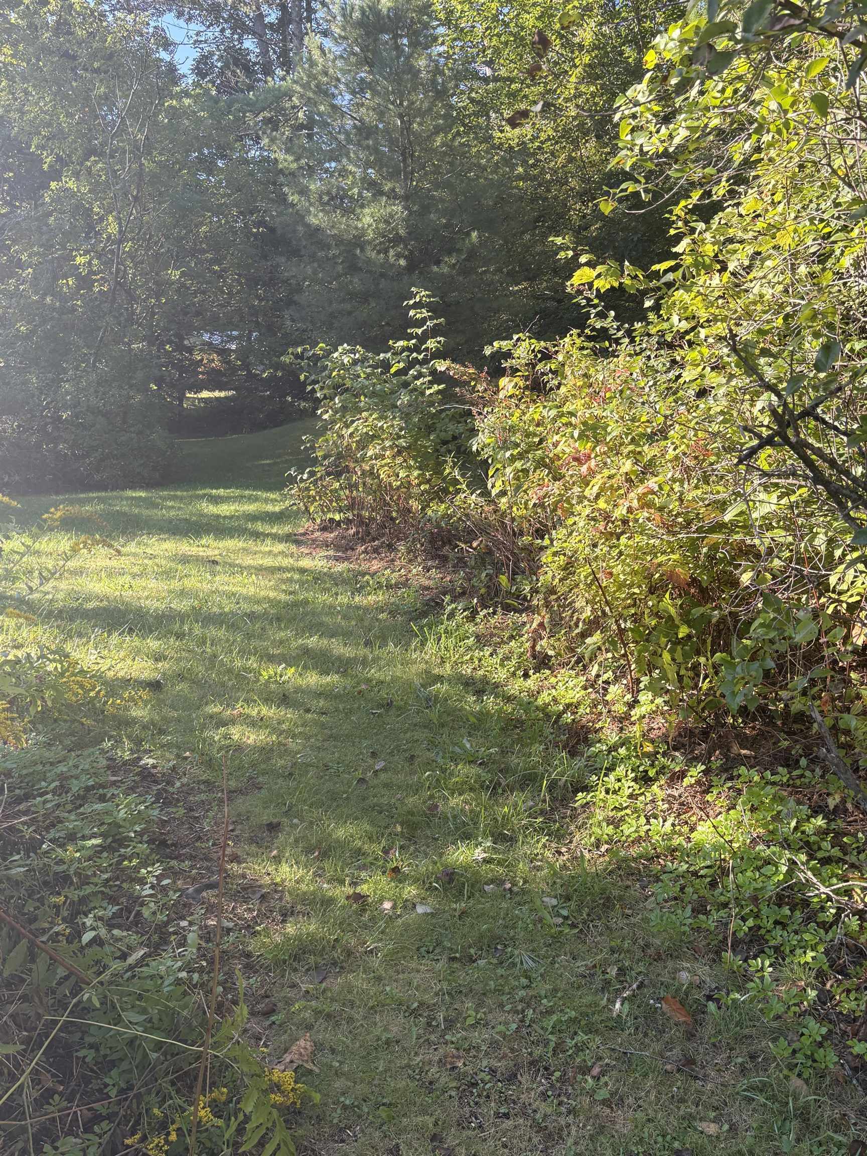 253 Quechee Road Property Photo 23