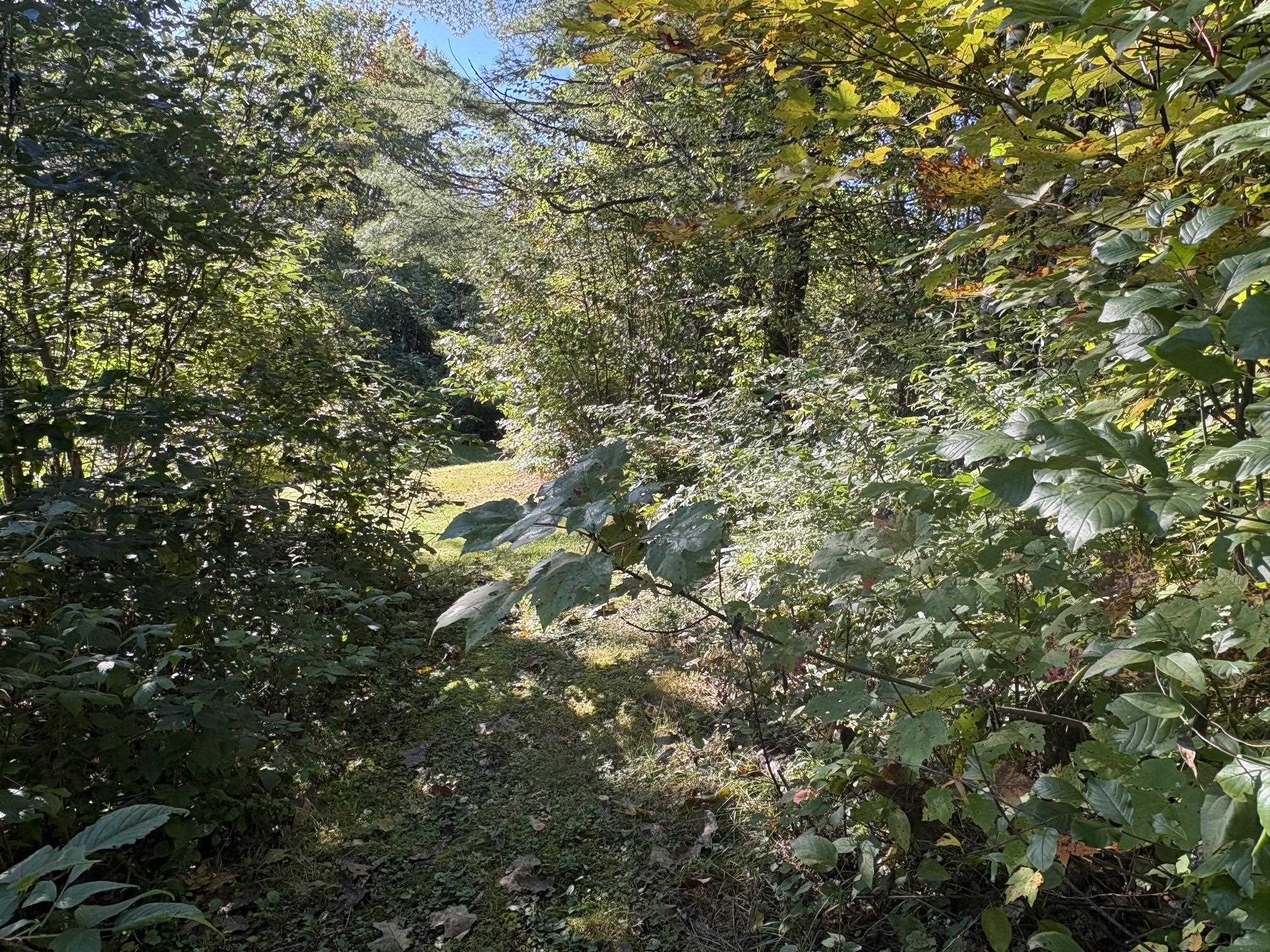 253 Quechee Road Property Photo 25