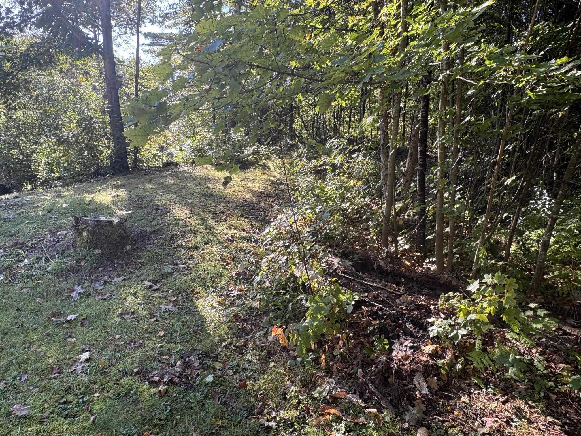 253 Quechee Road Property Photo 26