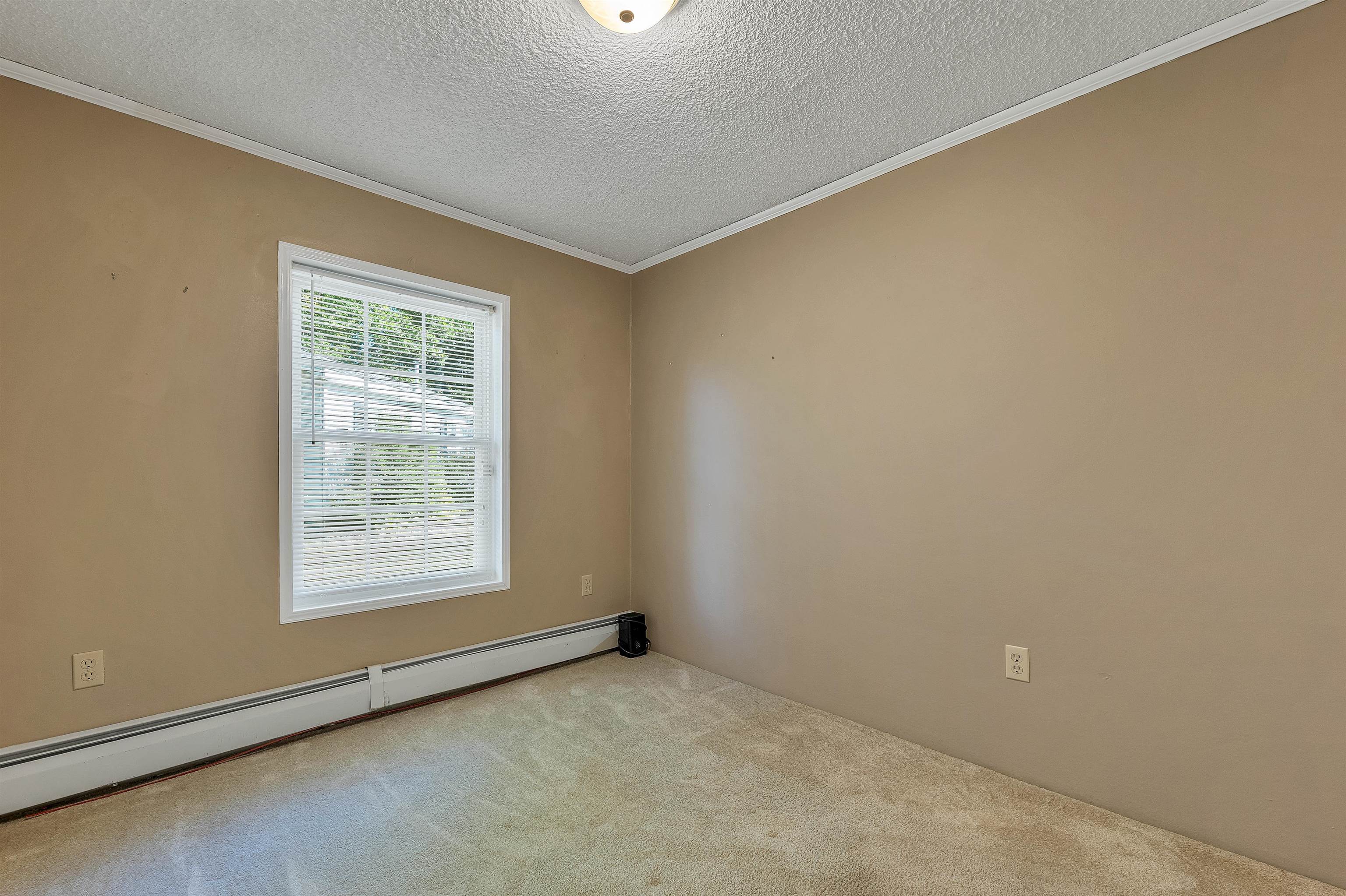 20 Coventry Court Property Photo 26