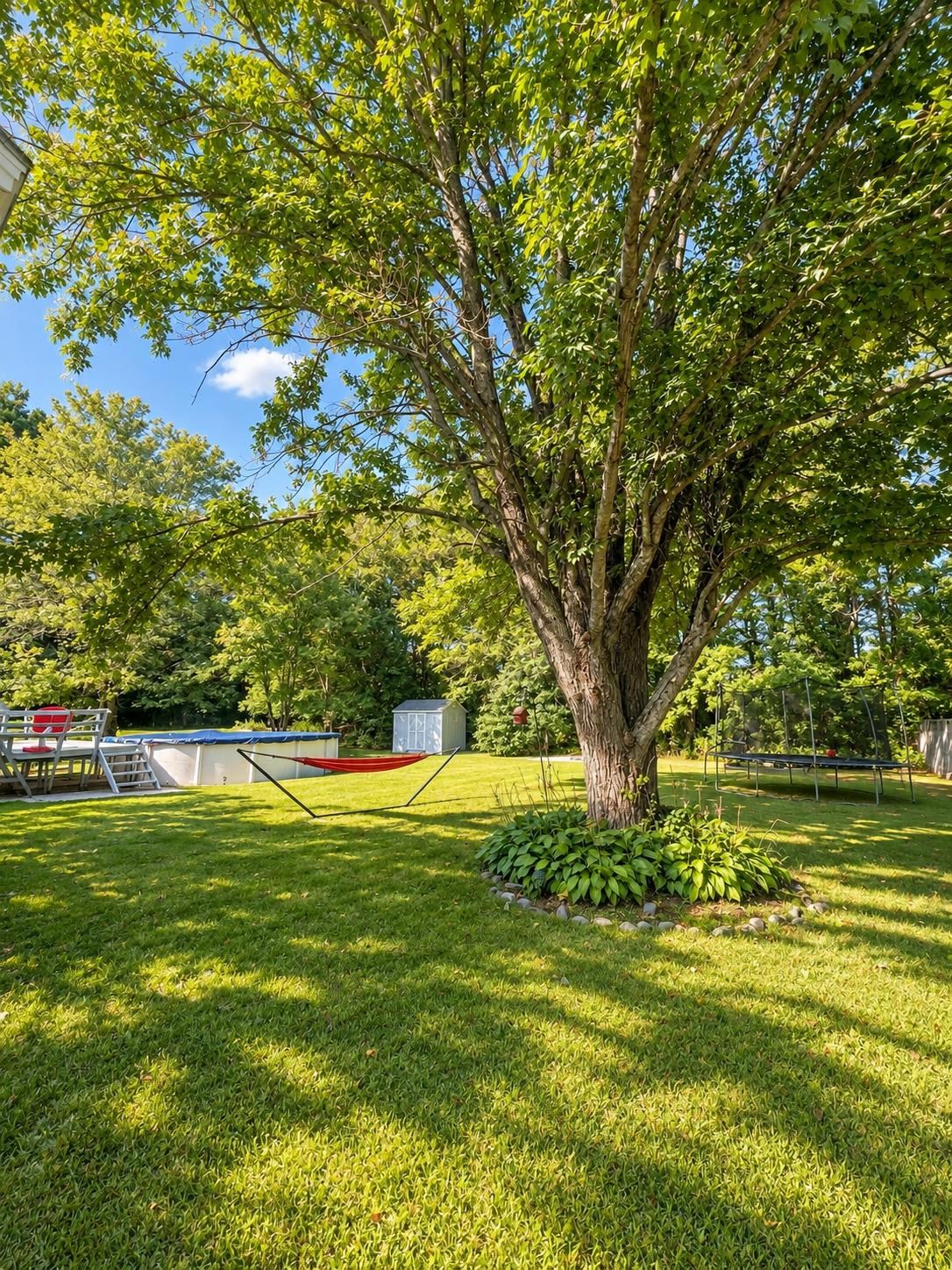 7 Norman Street Property Photo 33