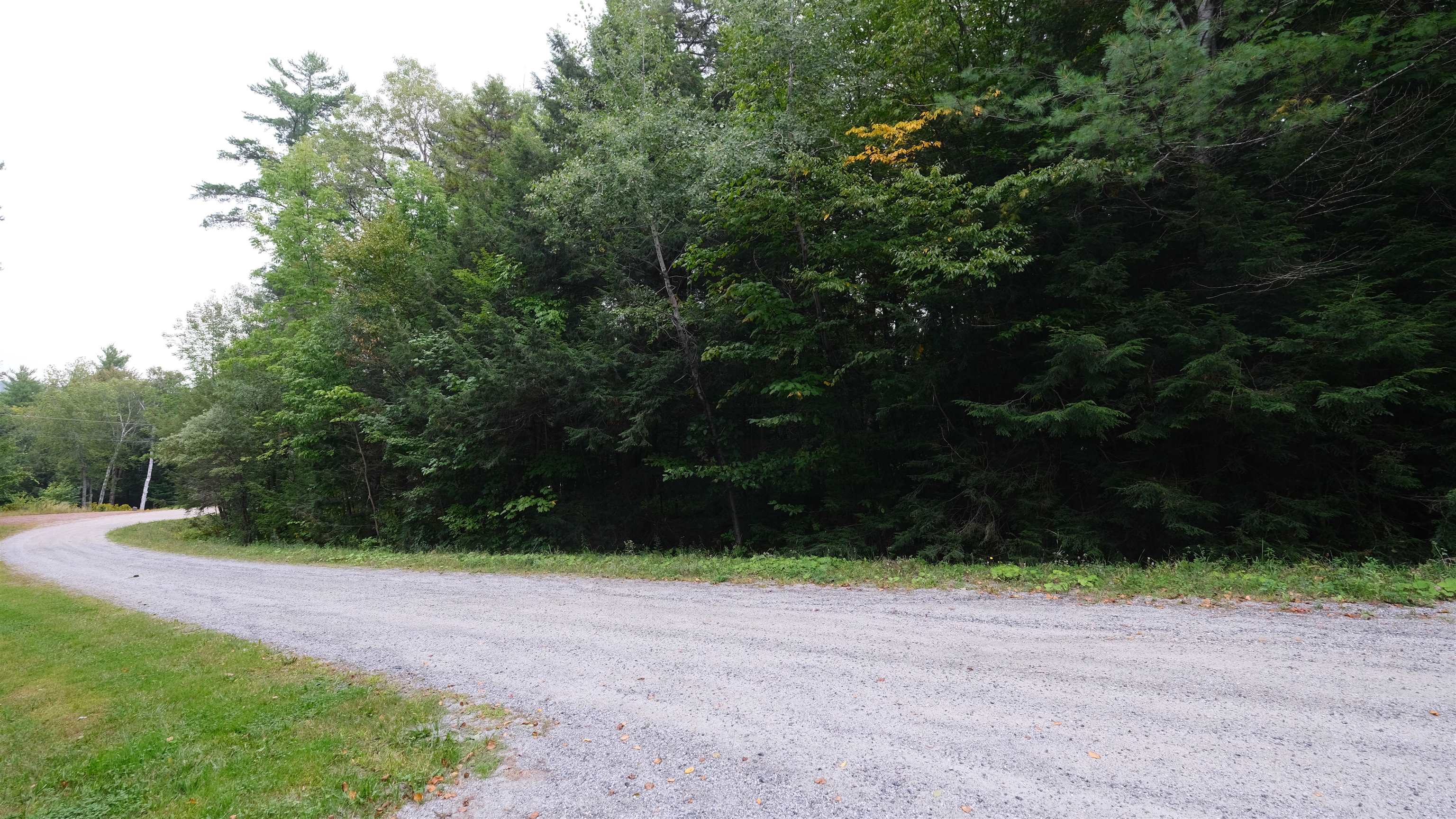 0 Bear Ridge Road Property Photo 1