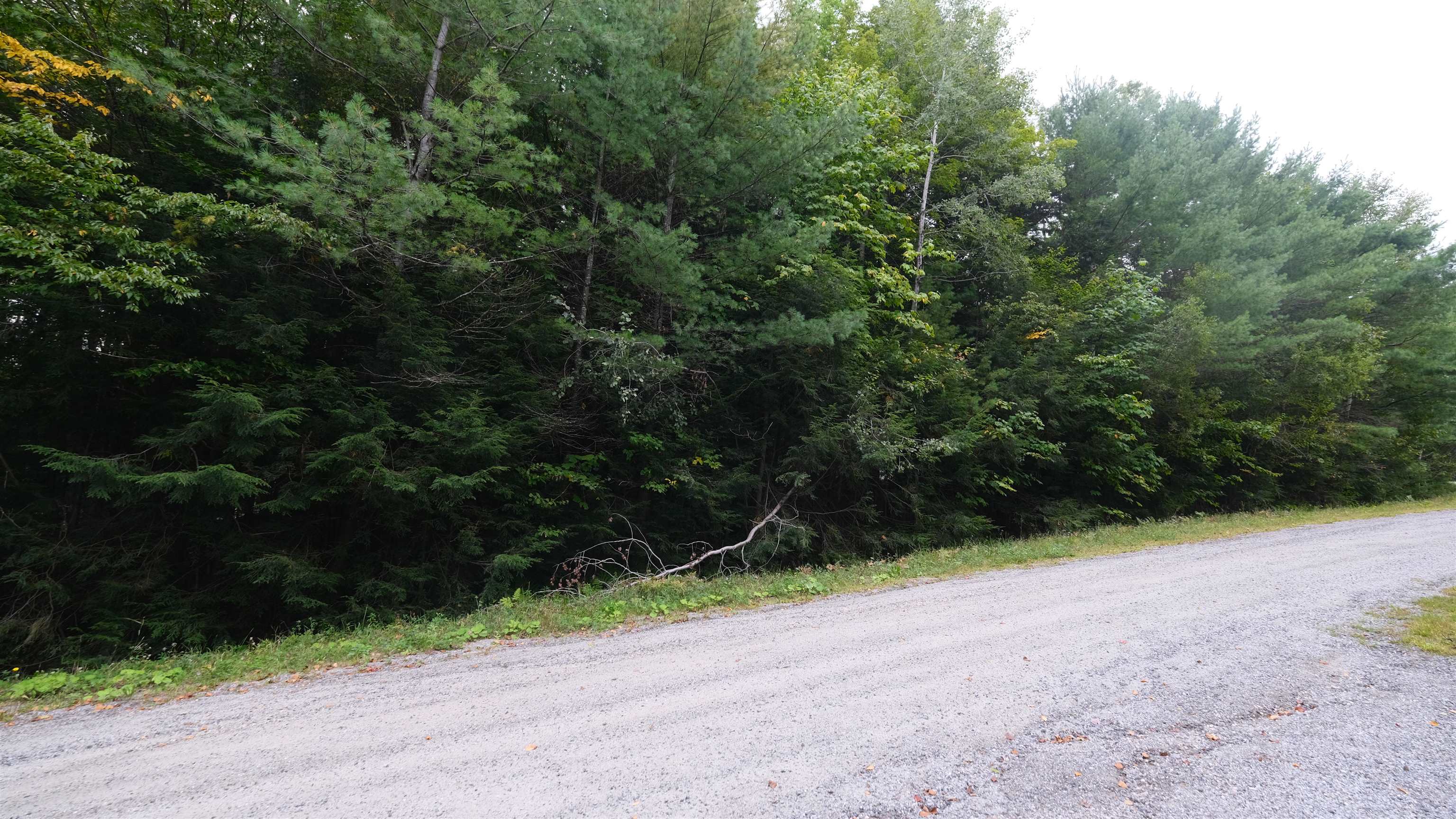 0 Bear Ridge Road Property Photo 2