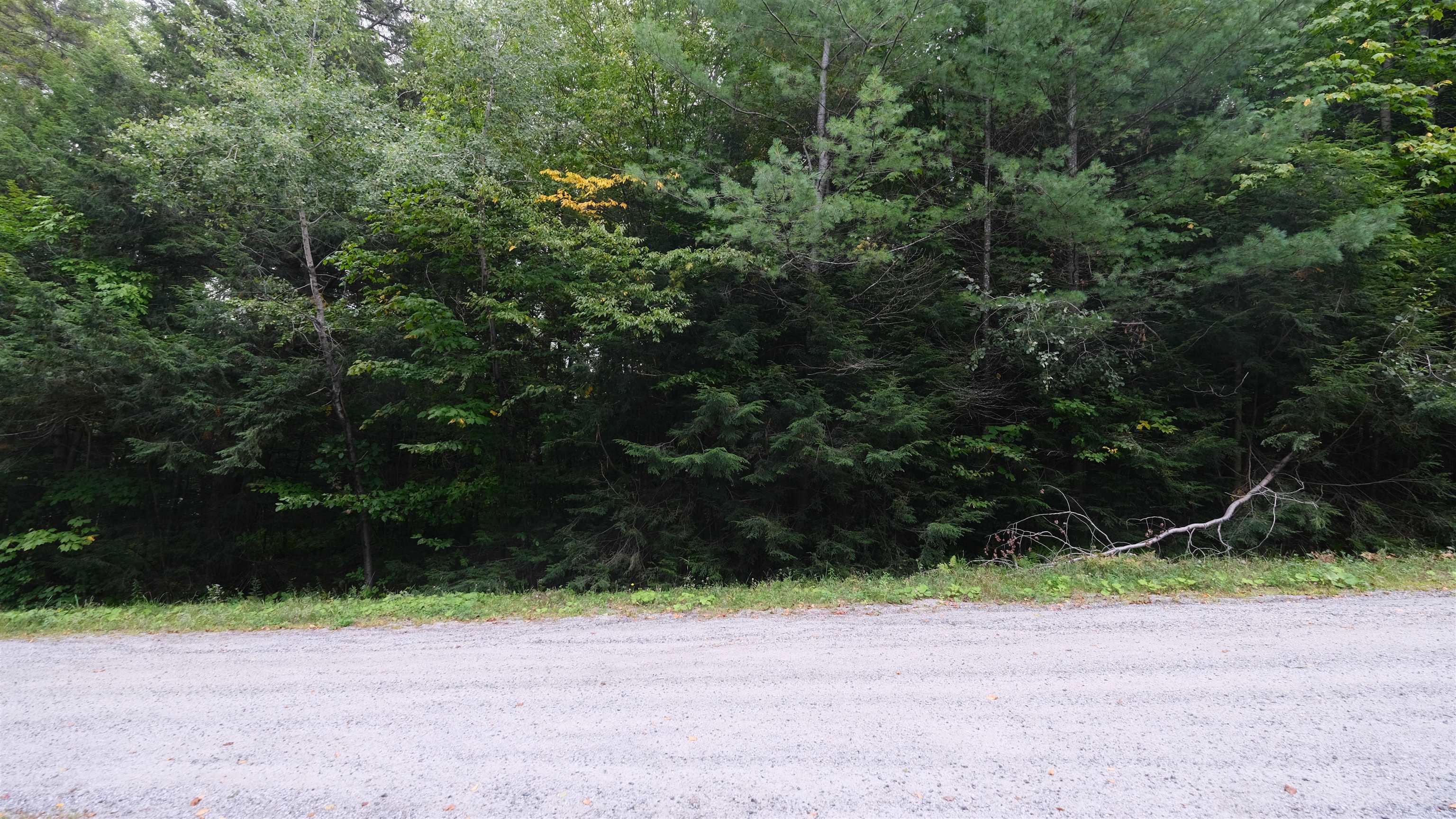 0 Bear Ridge Road Property Photo 3